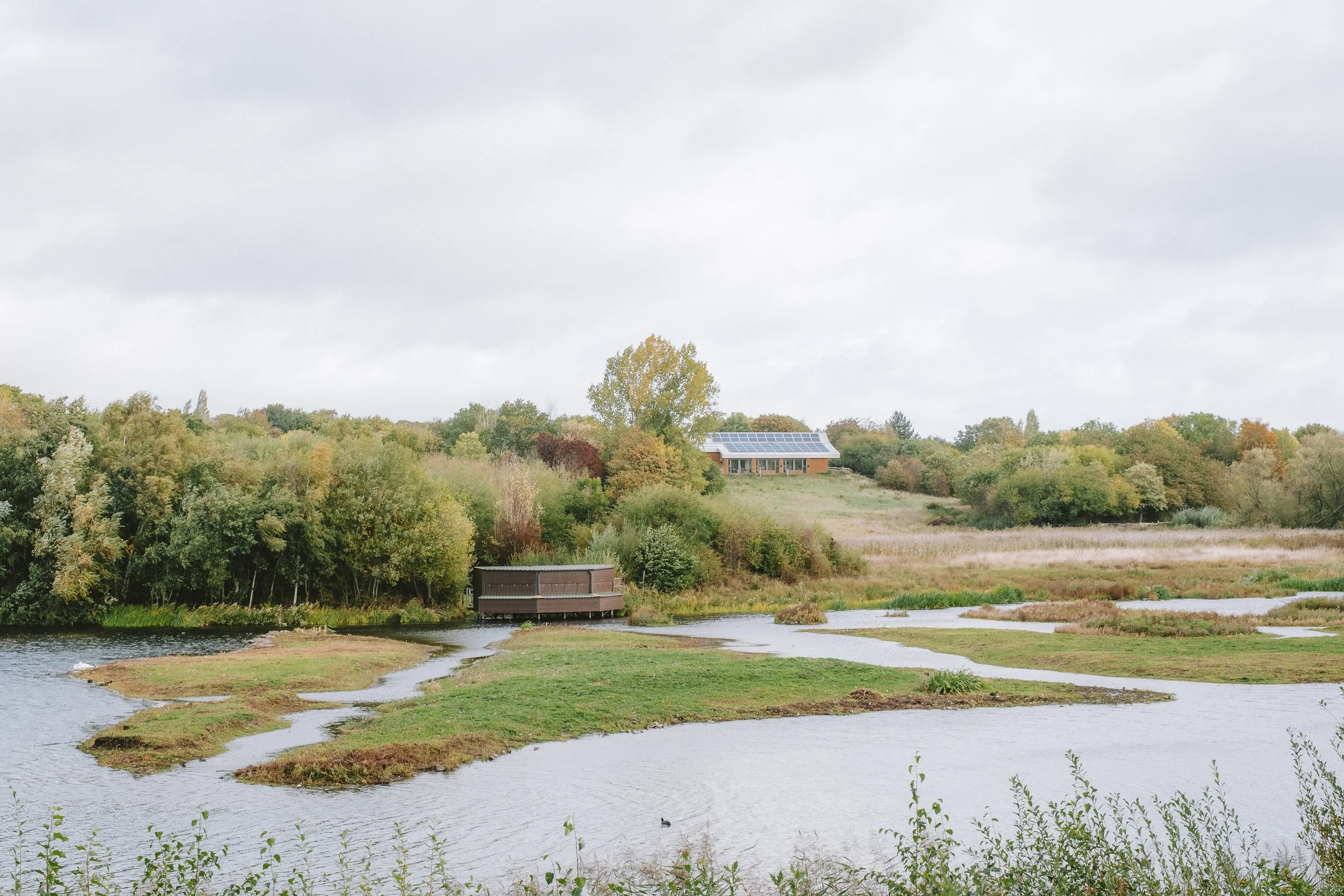 Giving Nature A Home (2025)