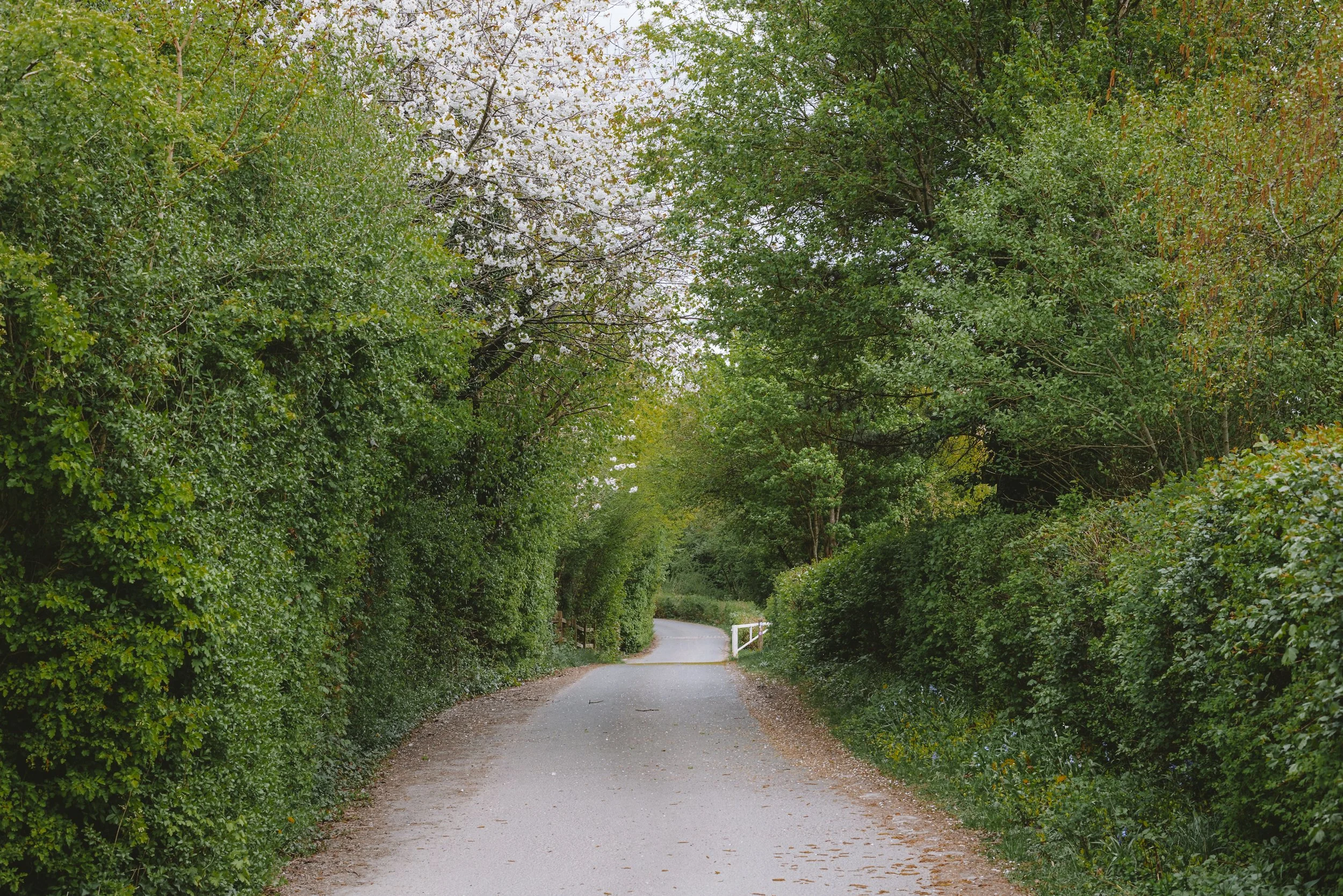 _19A1444.jpg
