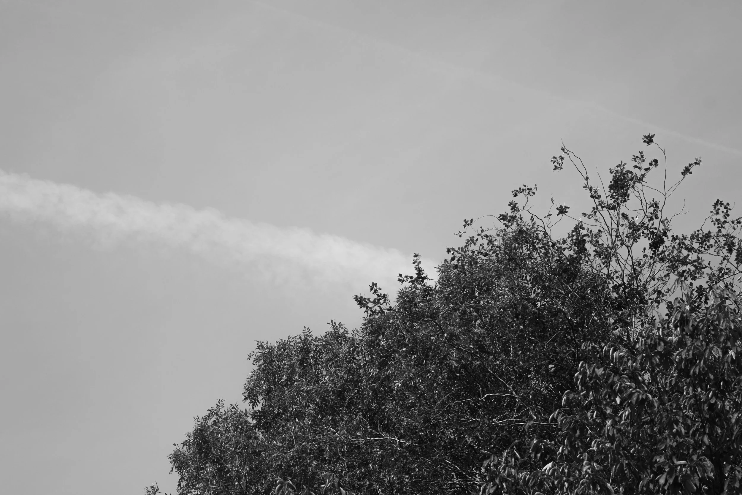 _DSF4387-2.jpg
