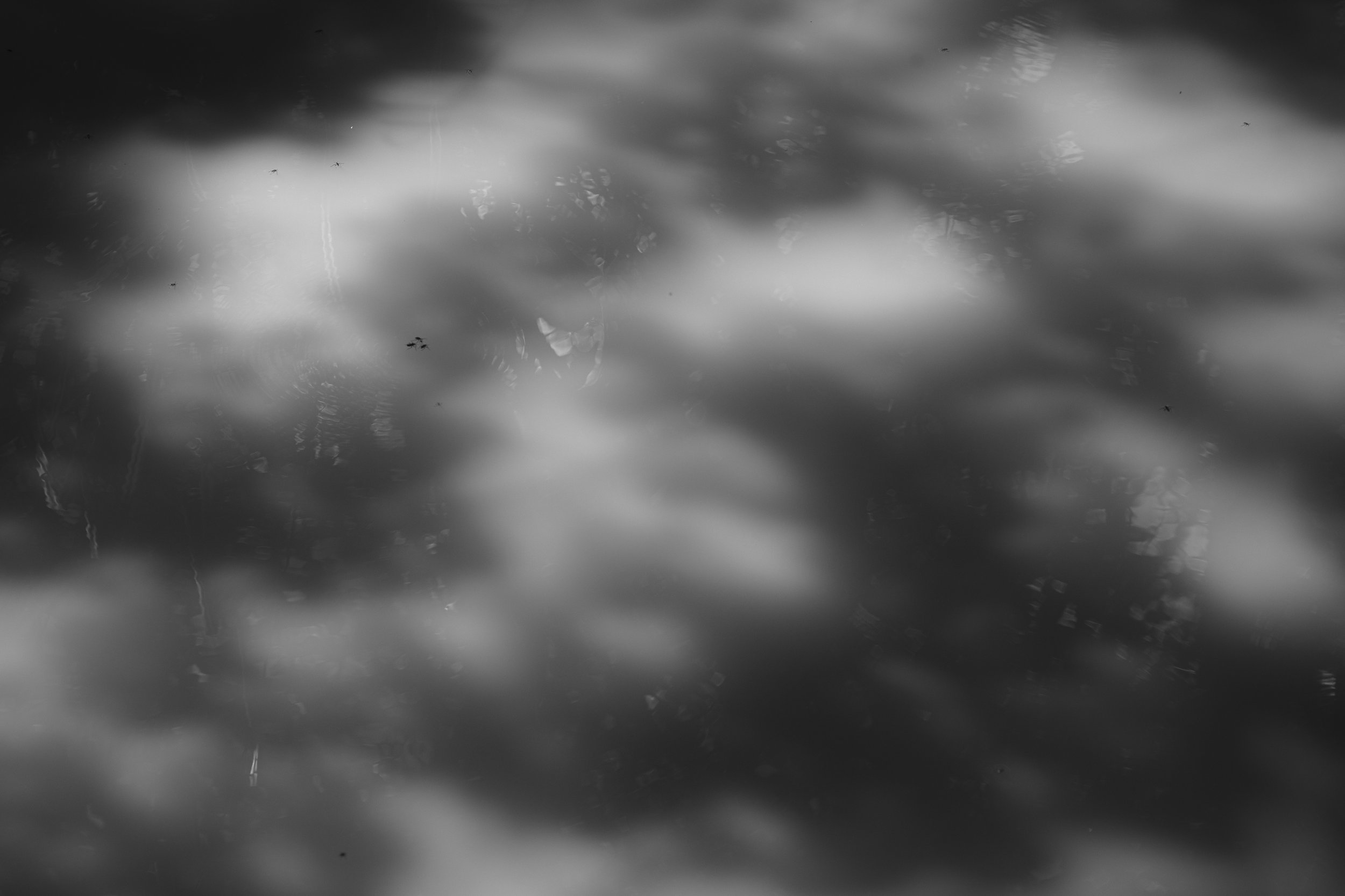 _DSF4362.jpg