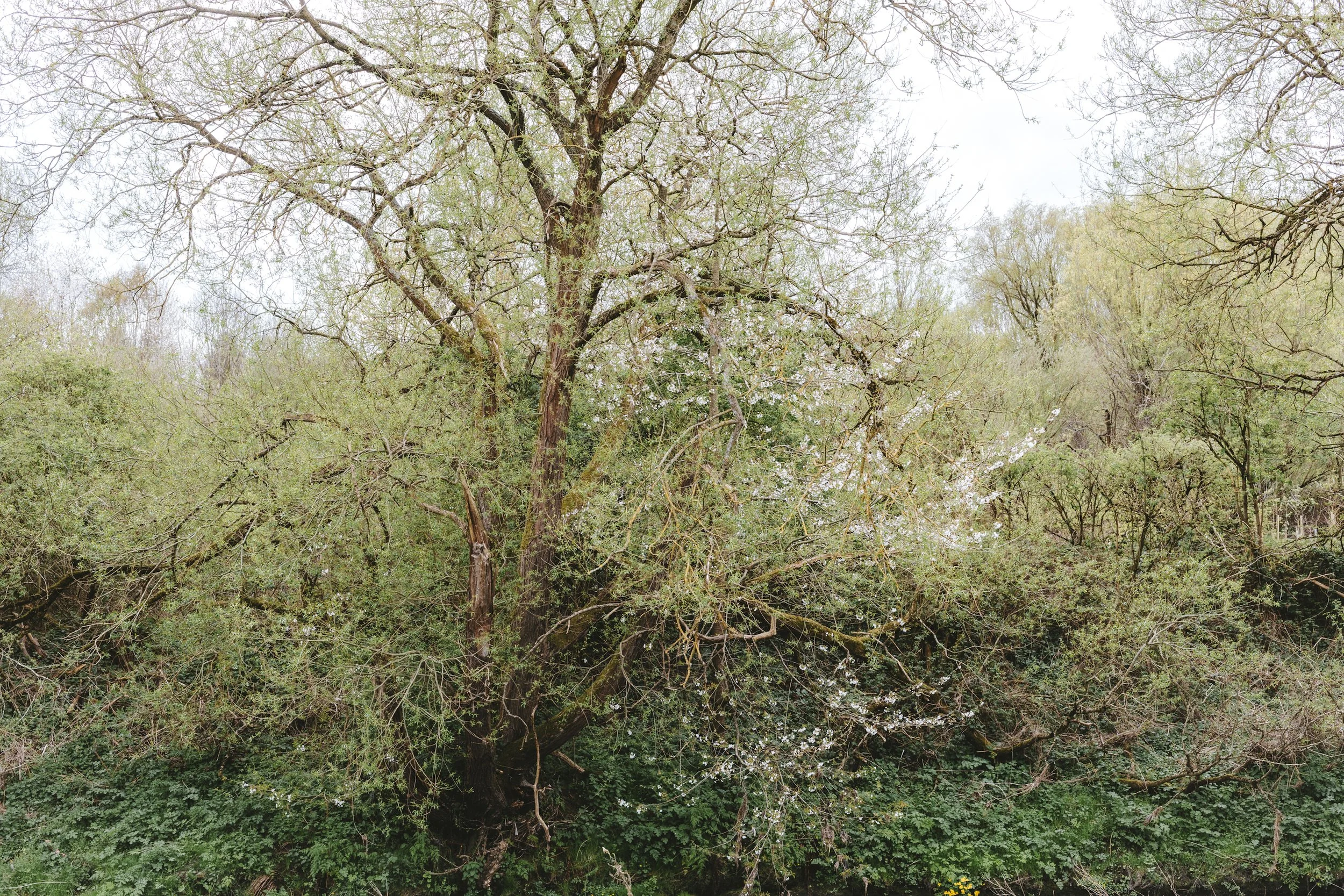 _19A1406.jpg