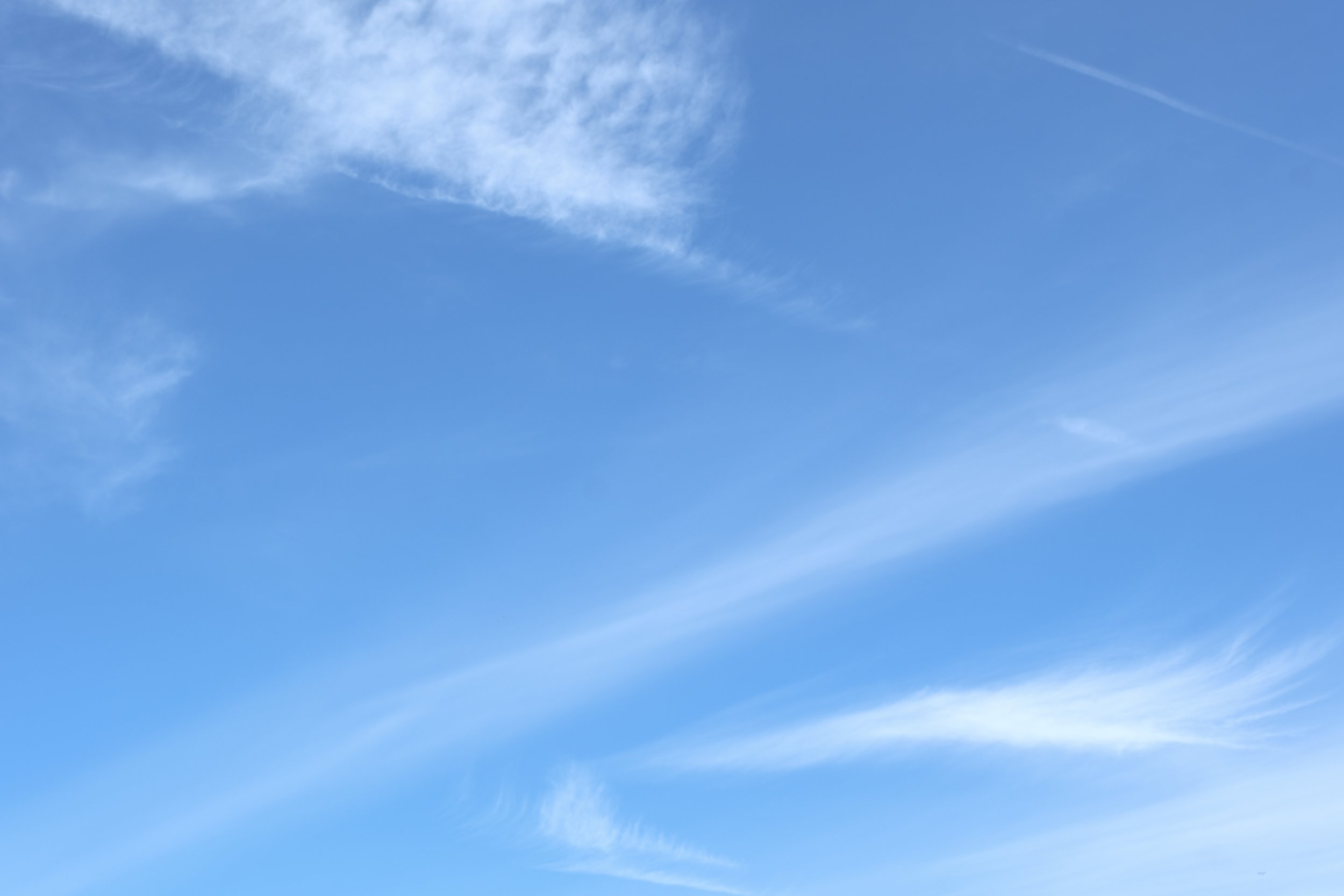 _DSF4974.jpg