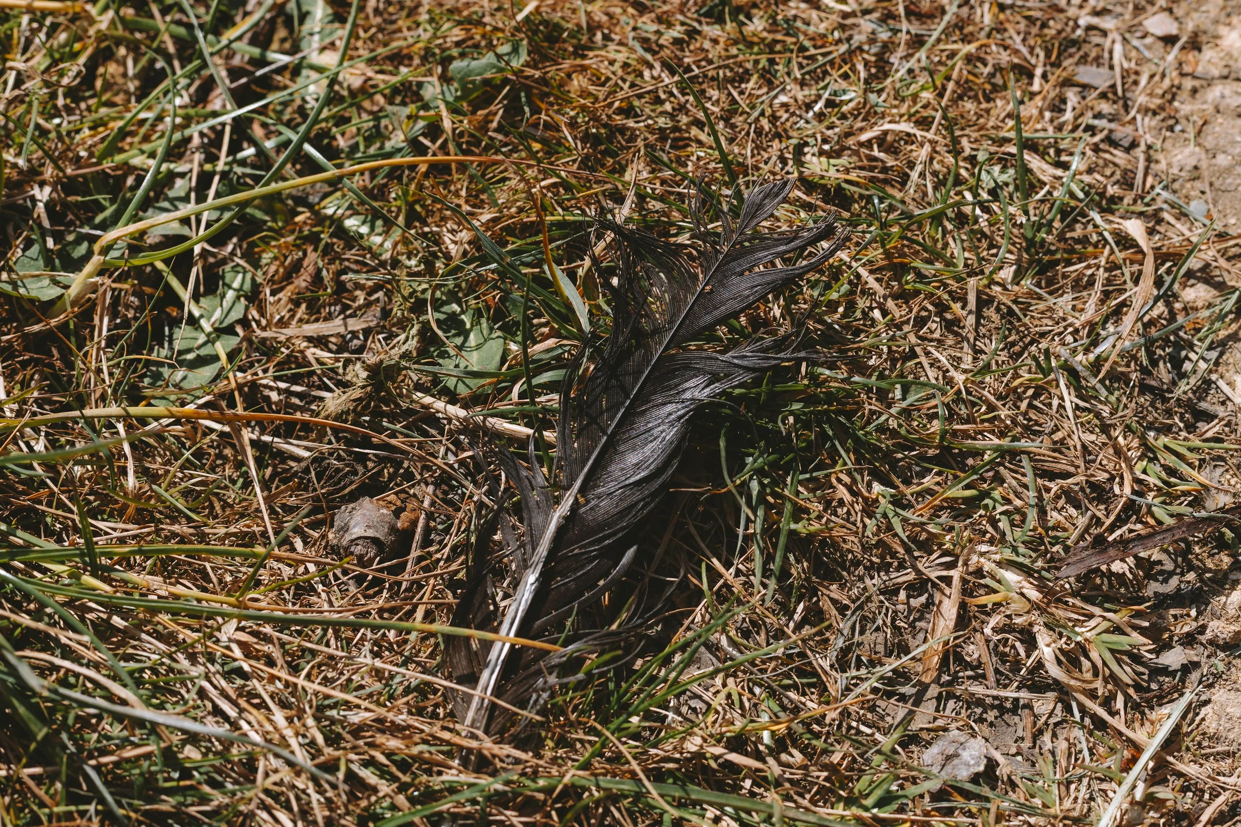 _19A1341.jpg