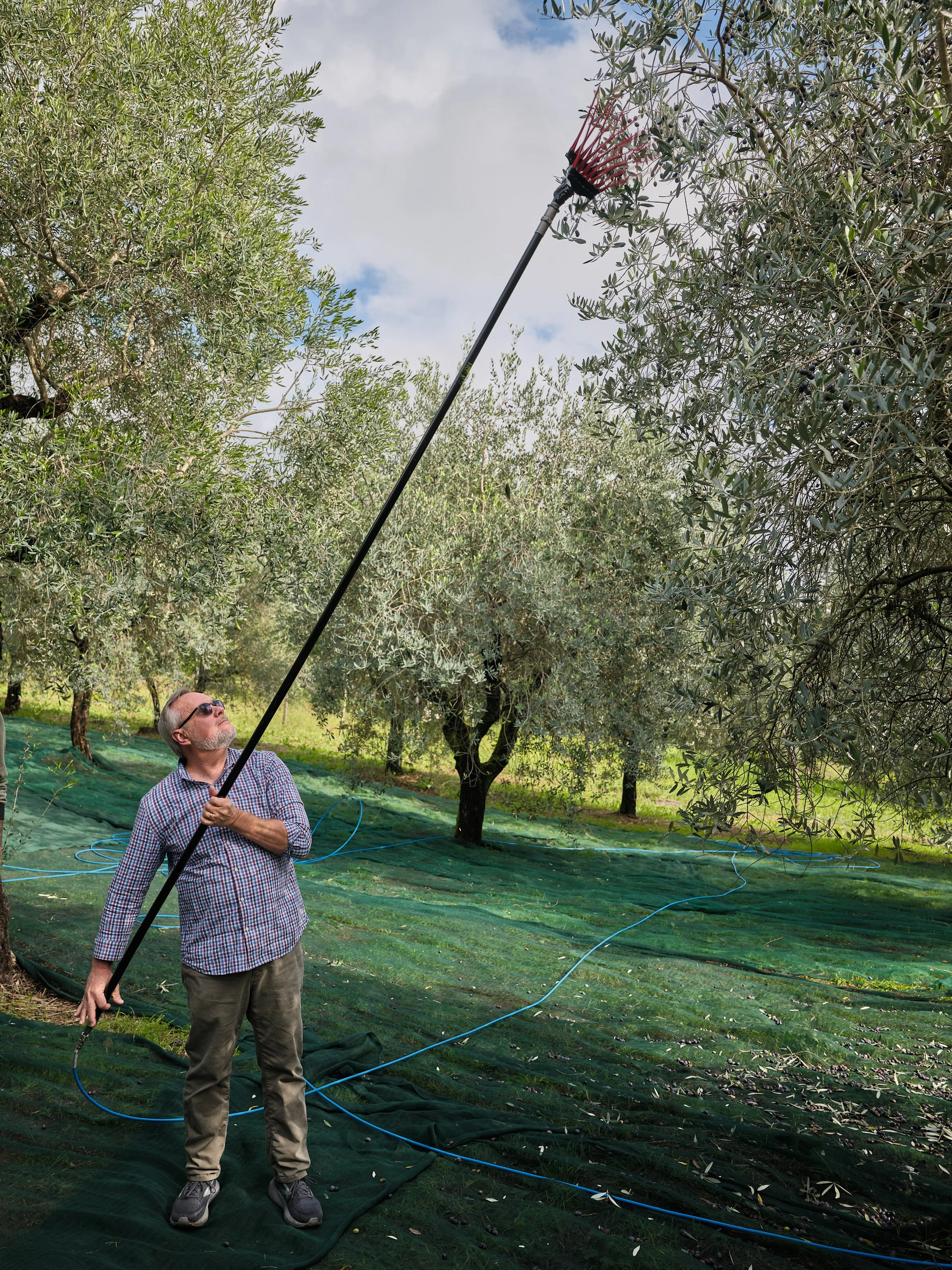 25ACS_Tuscany_DSCF1559web.jpg