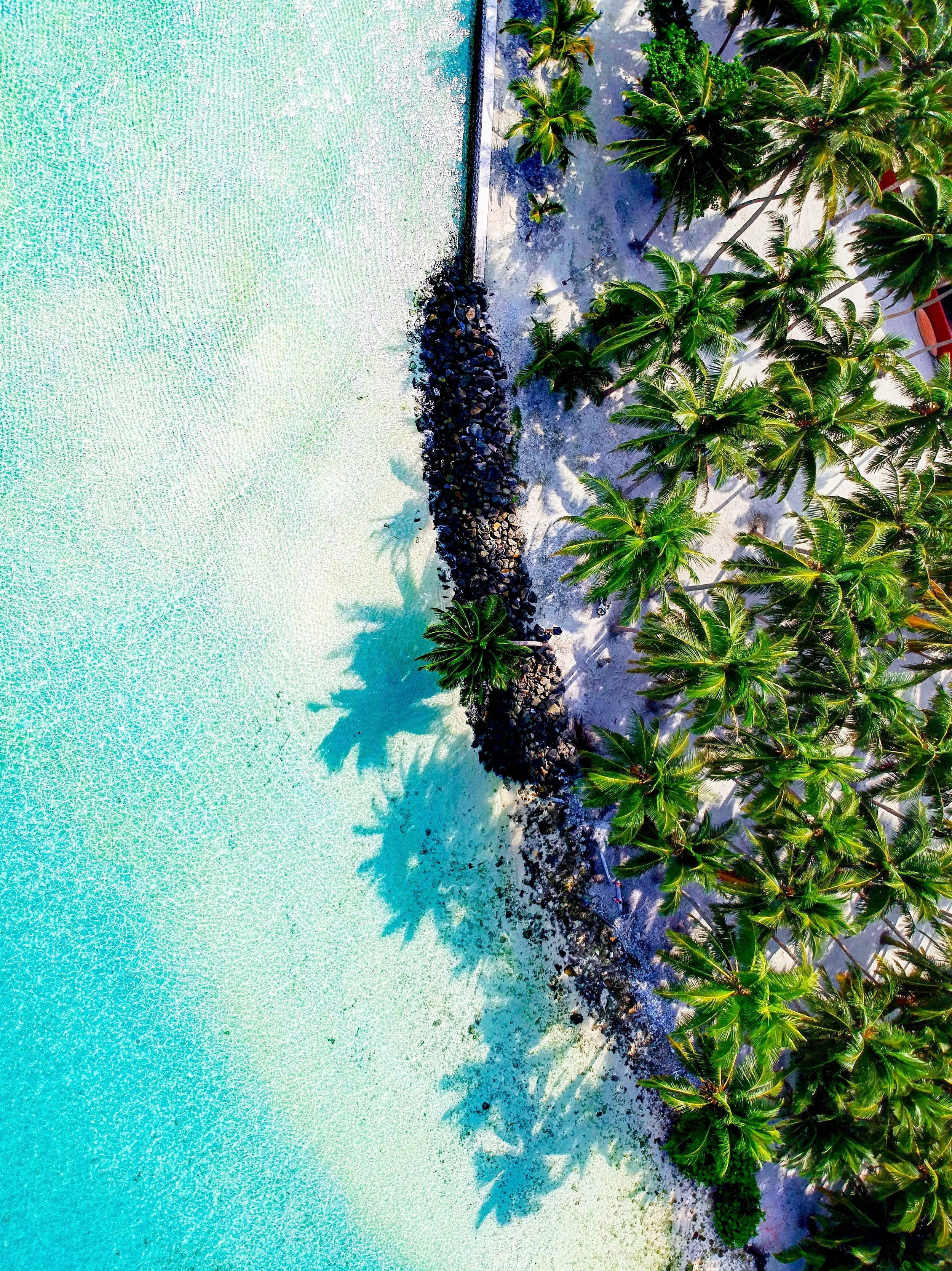 adventures-ofmaldives-ZTqnyhYvhKk-unsplash.jpg
