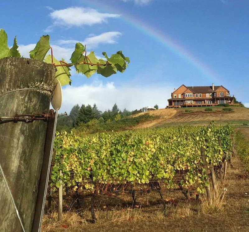 willamette_valley_lodging_winery_9.jpg