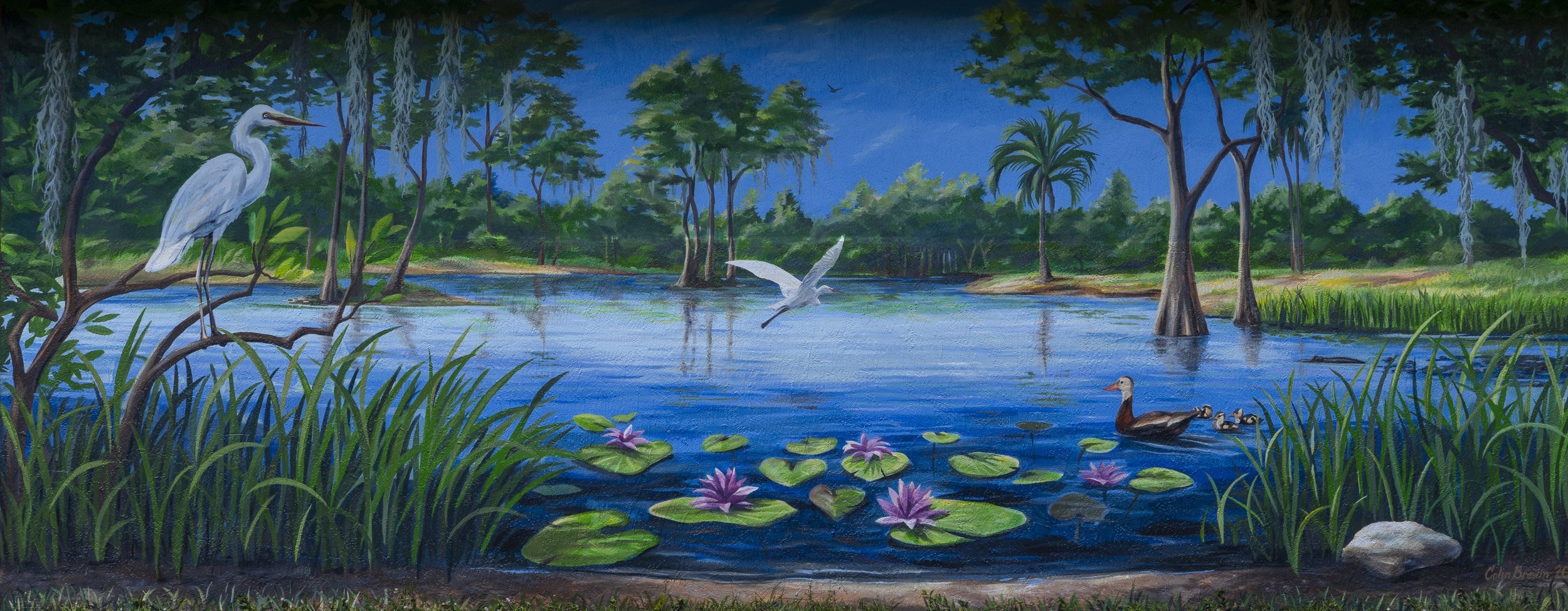 Song of the Cypress, Florida wetland mural by Colin Breslin for Scouting America, Davie, Florida