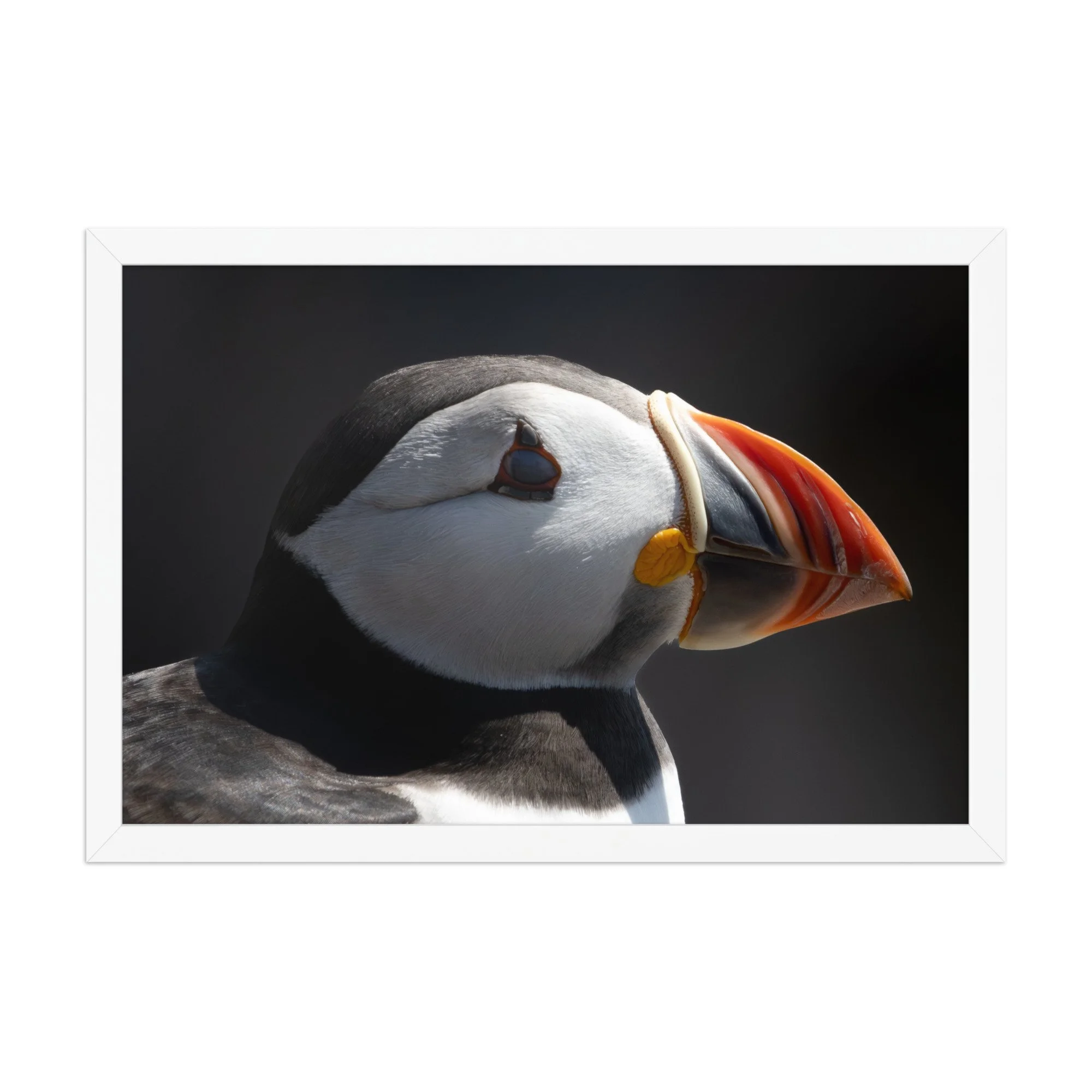 premium-luster-photo-paper-framed-poster-(in)-white-12x18-front-68781d09f3d1a.jpg