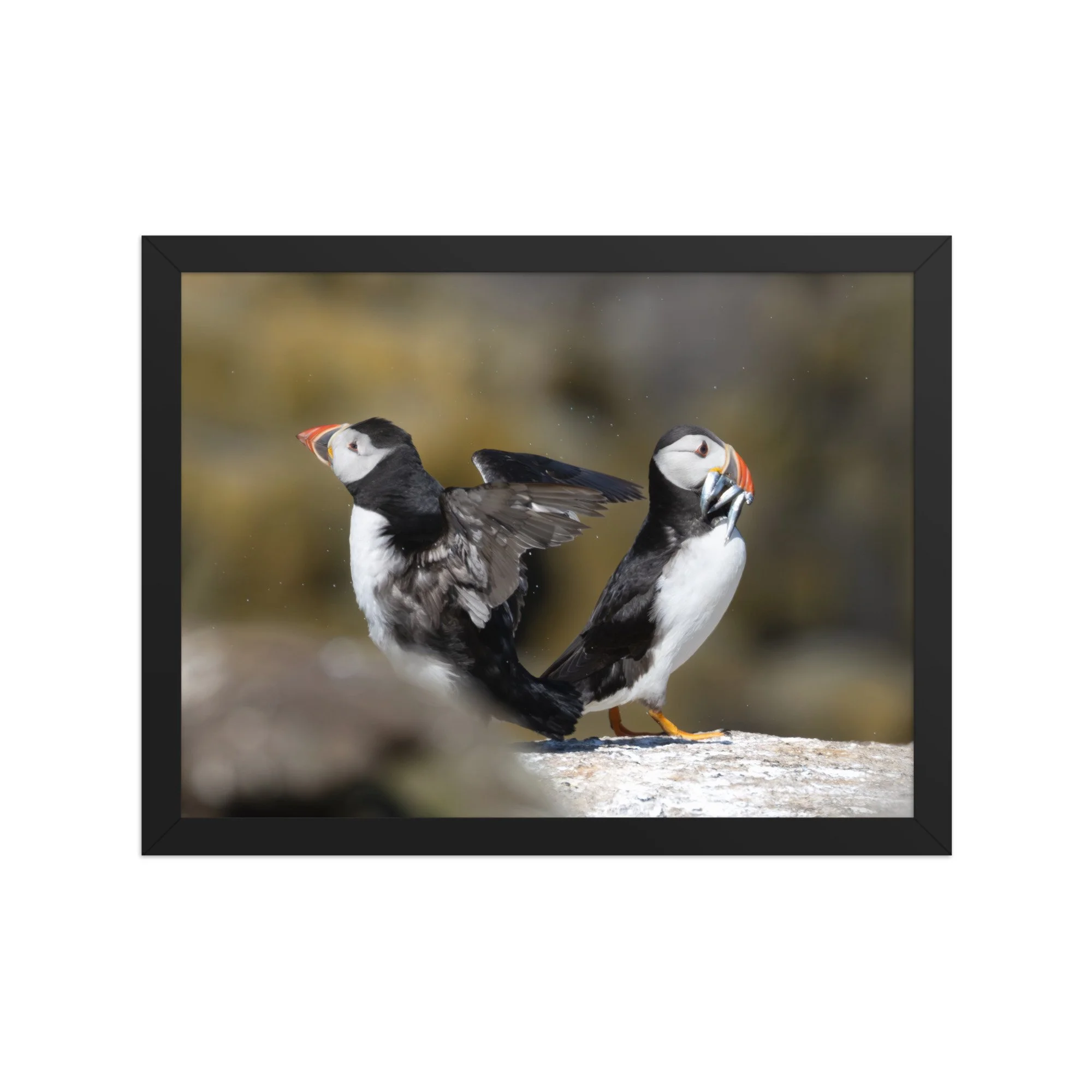premium-luster-photo-paper-framed-poster-(in)-black-12x16-front-6878b52072194.jpg