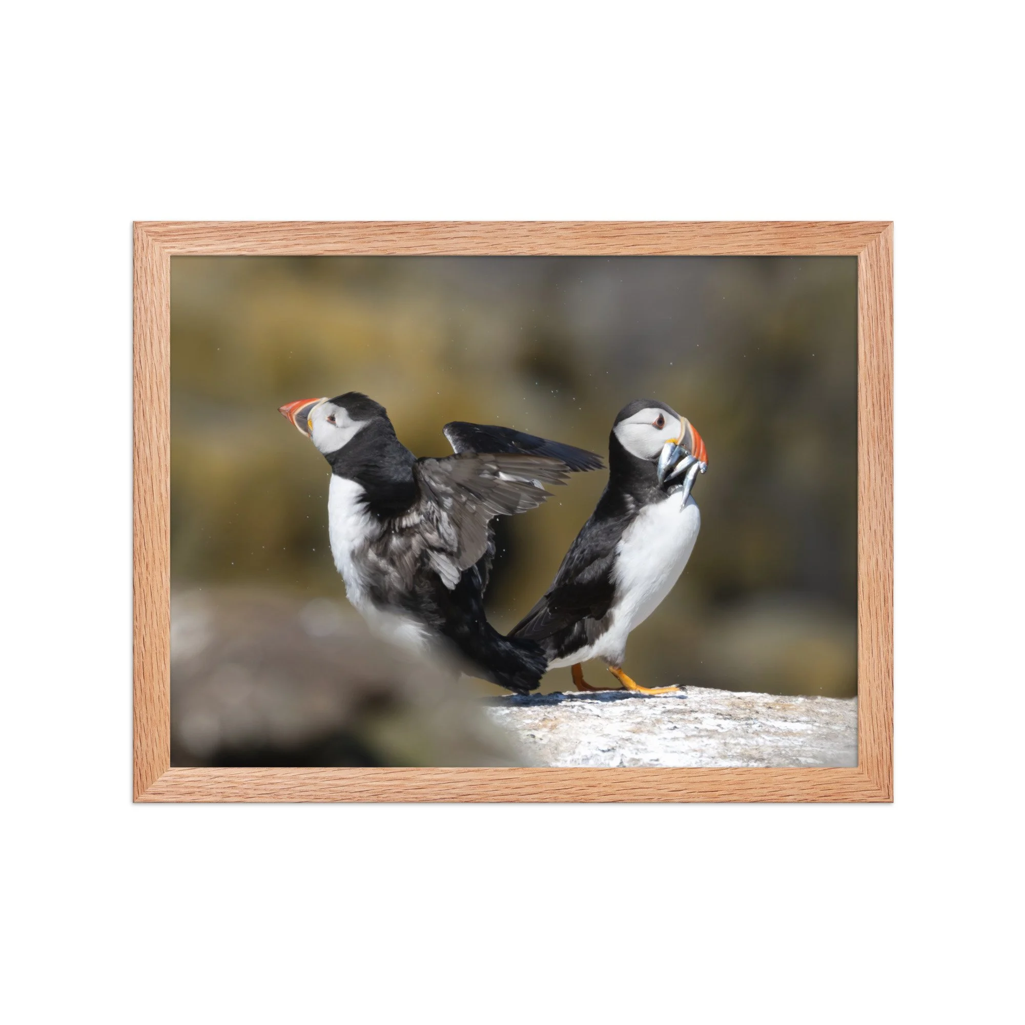 premium-luster-photo-paper-framed-poster-(in)-red-oak-12x16-front-6878b52072594.jpg