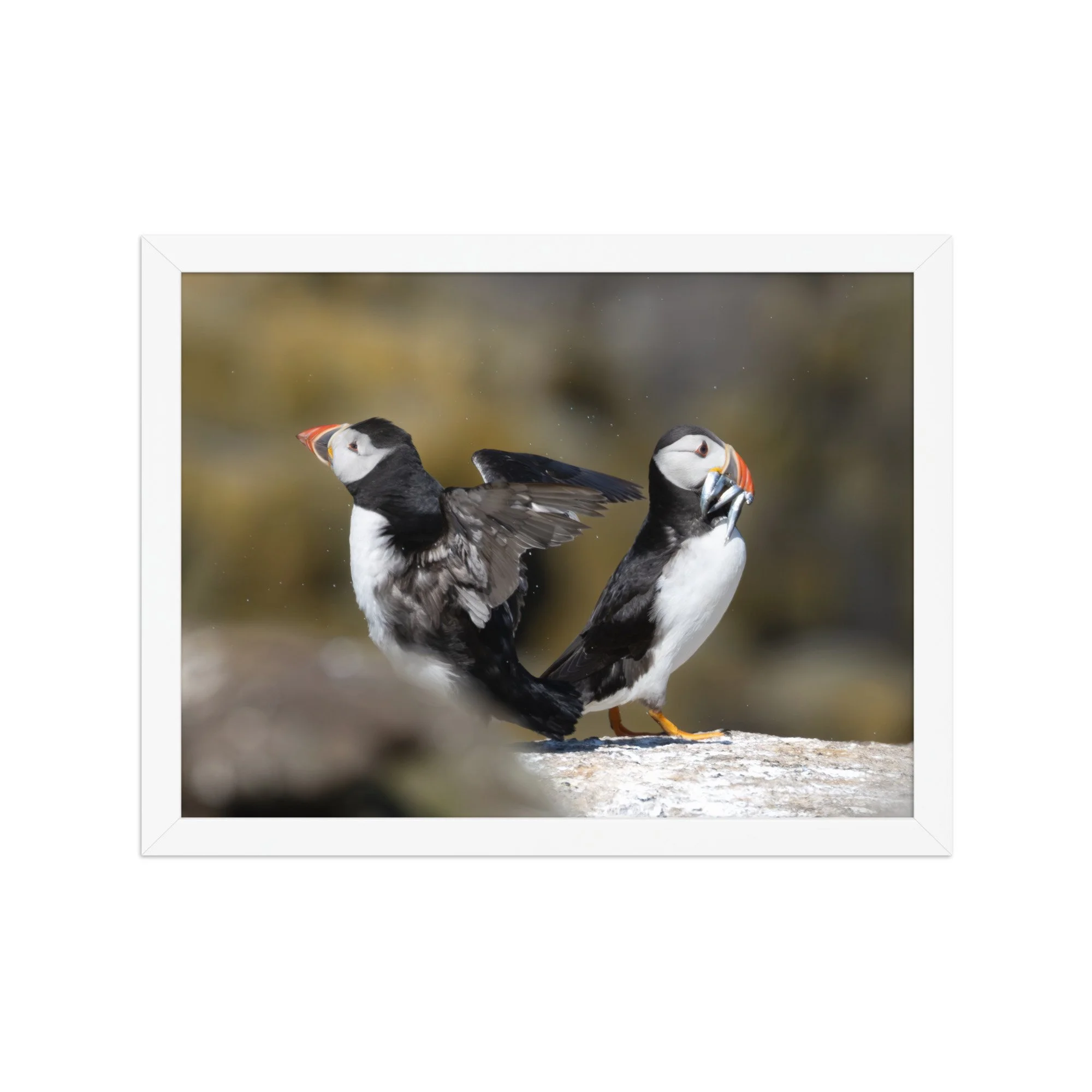 premium-luster-photo-paper-framed-poster-(in)-white-12x16-front-6878b52072978.jpg
