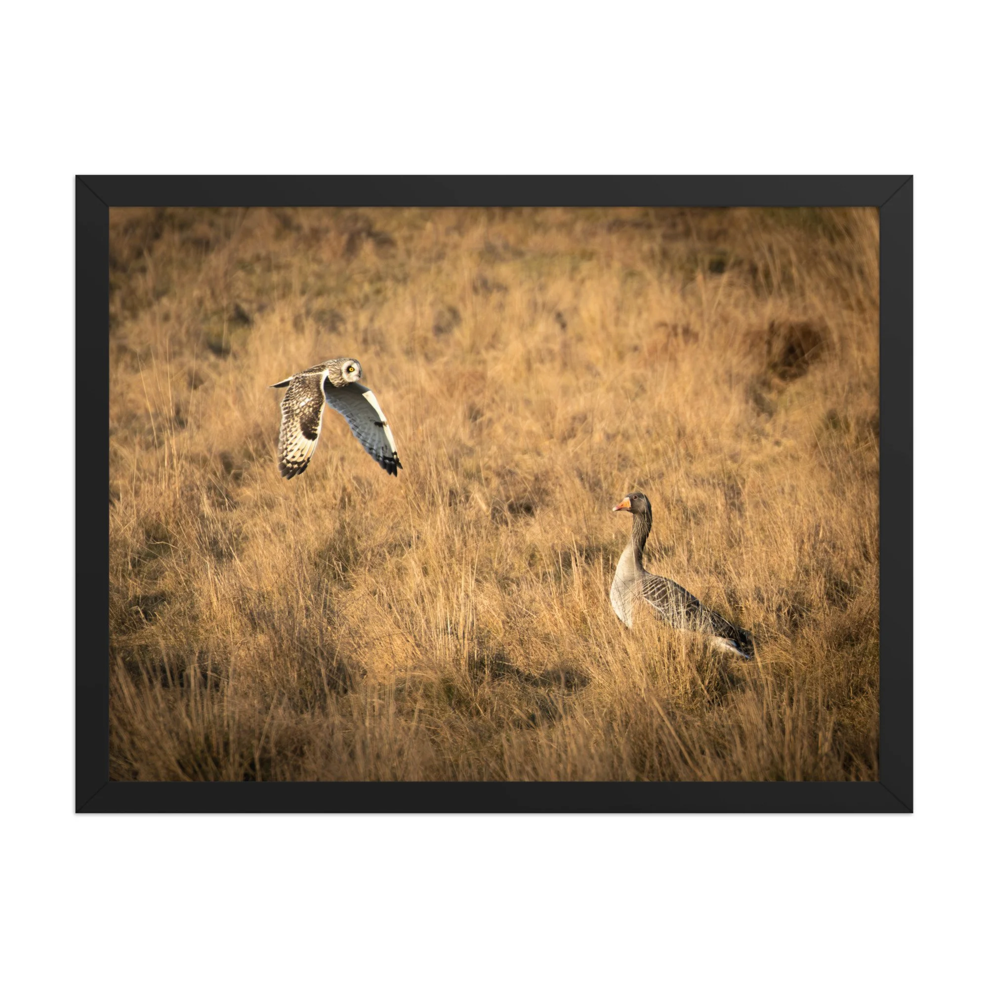 premium-luster-photo-paper-framed-poster-(in)-black-18x24-front-6878b72303ecd.jpg