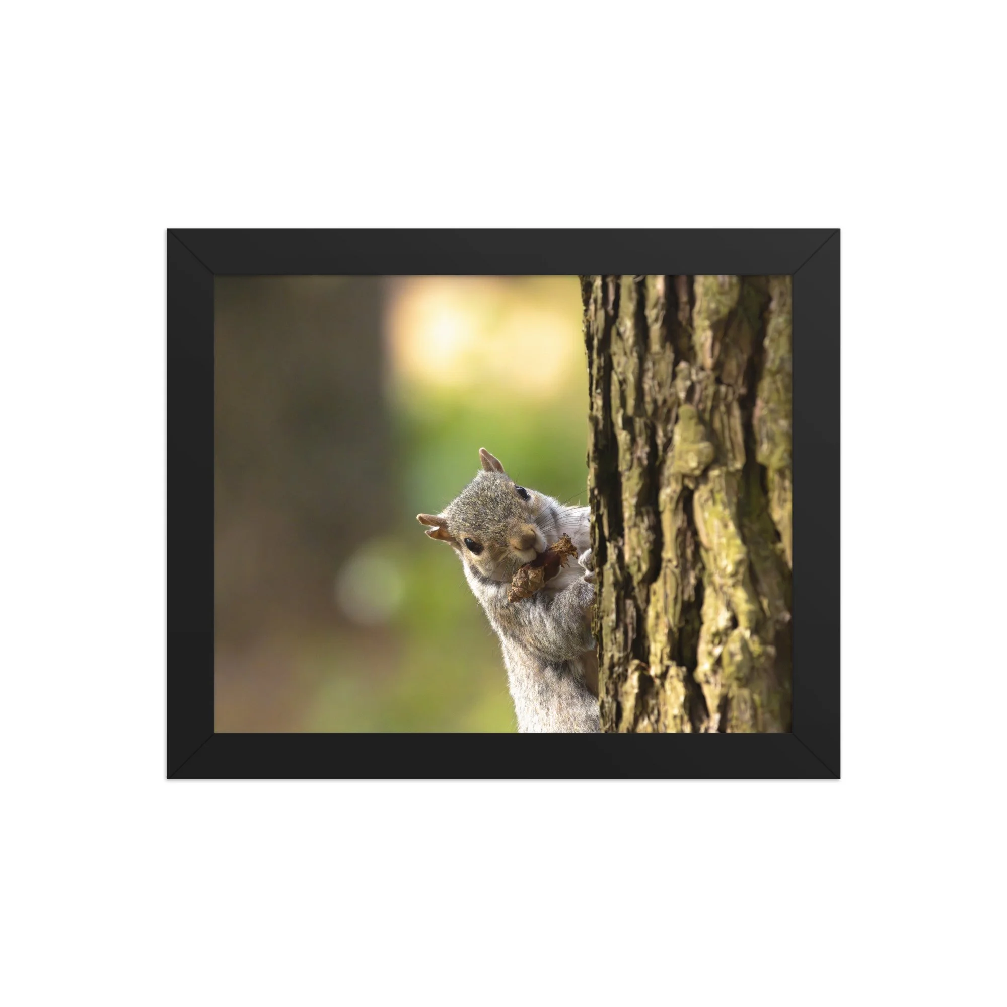 premium-luster-photo-paper-framed-poster-(in)-black-8x10-front-6878b80b7133a.jpg