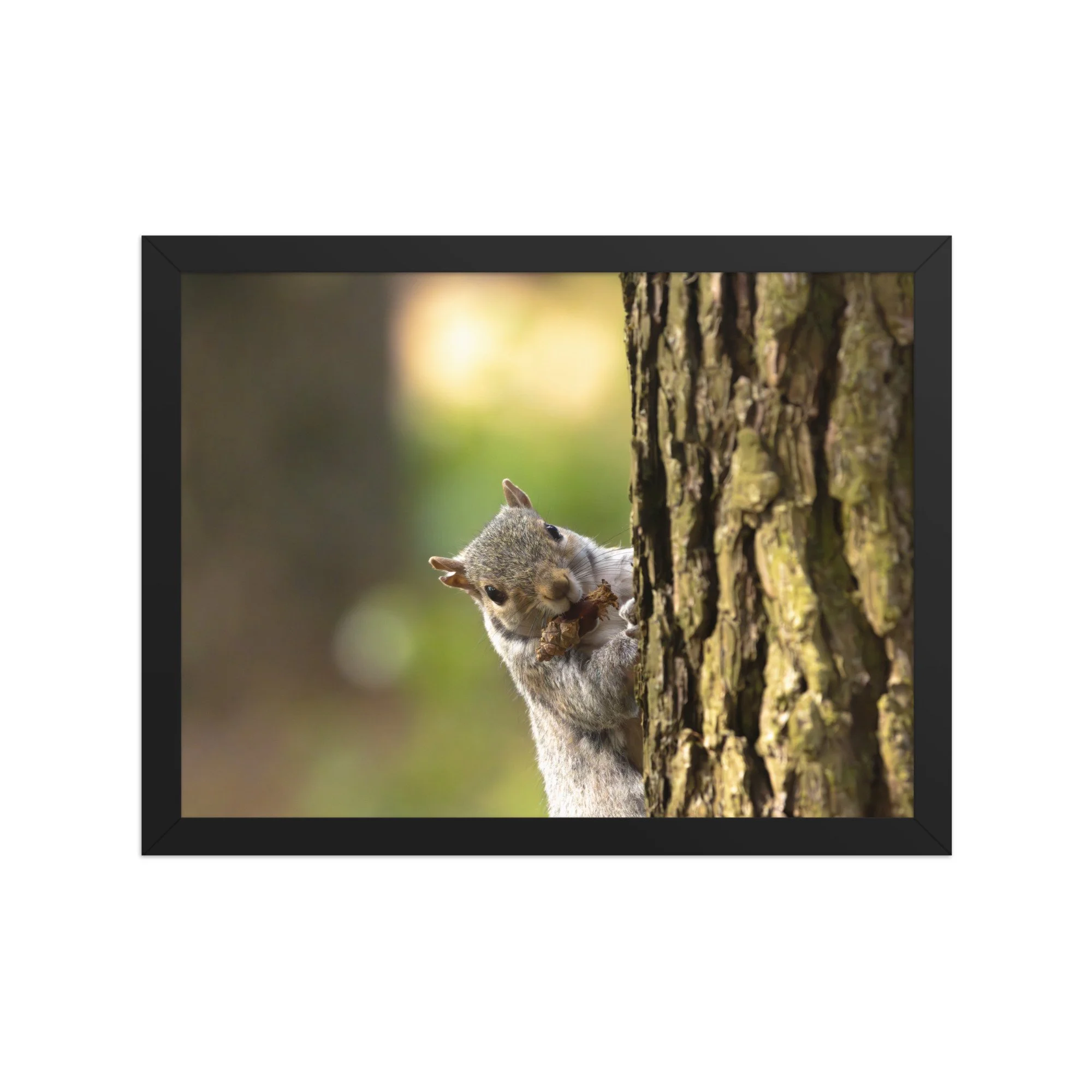 premium-luster-photo-paper-framed-poster-(in)-black-12x16-front-6878b80b71423.jpg