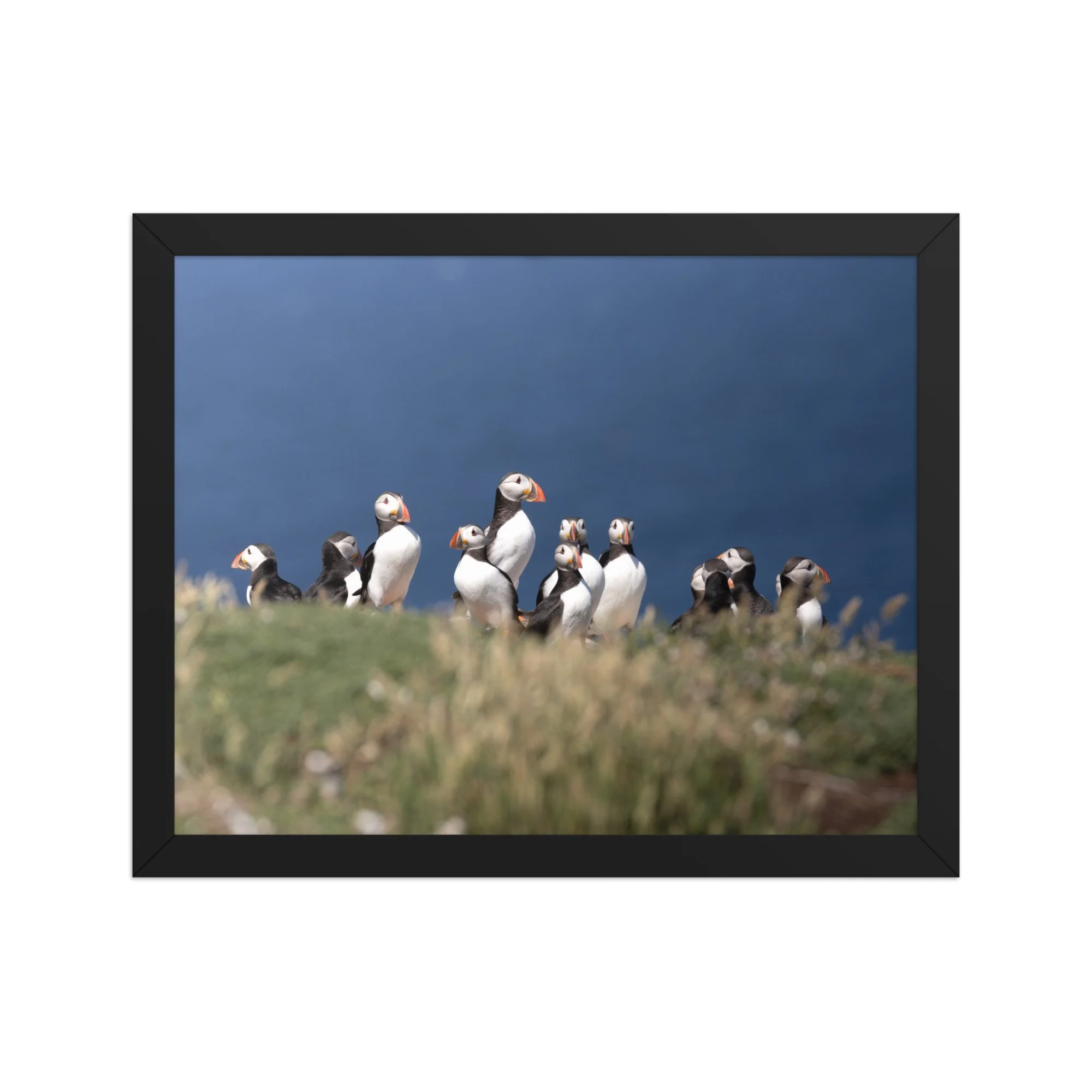 premium-luster-photo-paper-framed-poster-(in)-black-11x14-front-6878bd40ae5bf.jpg