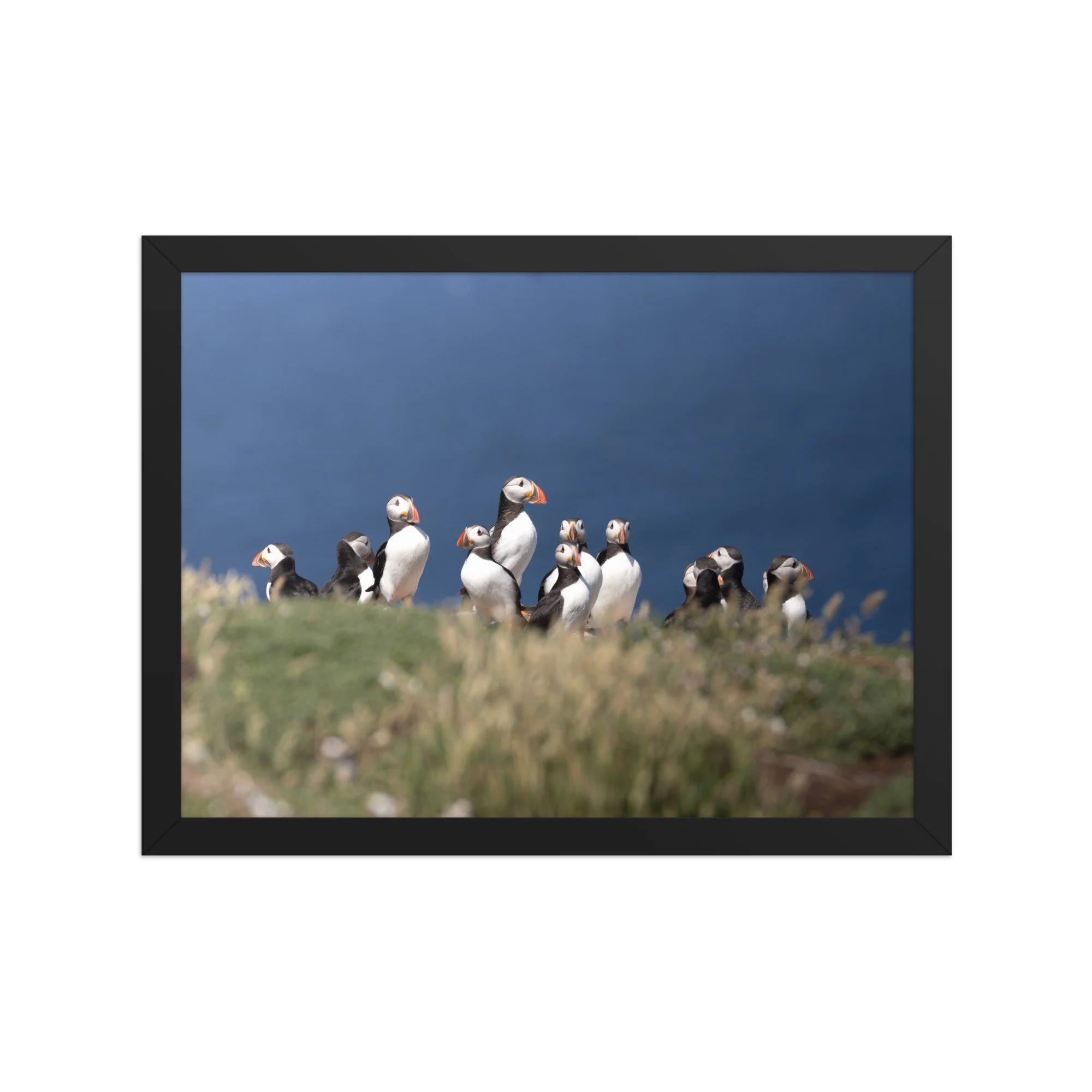 premium-luster-photo-paper-framed-poster-(in)-black-12x16-front-6878bd40aec3a.jpg
