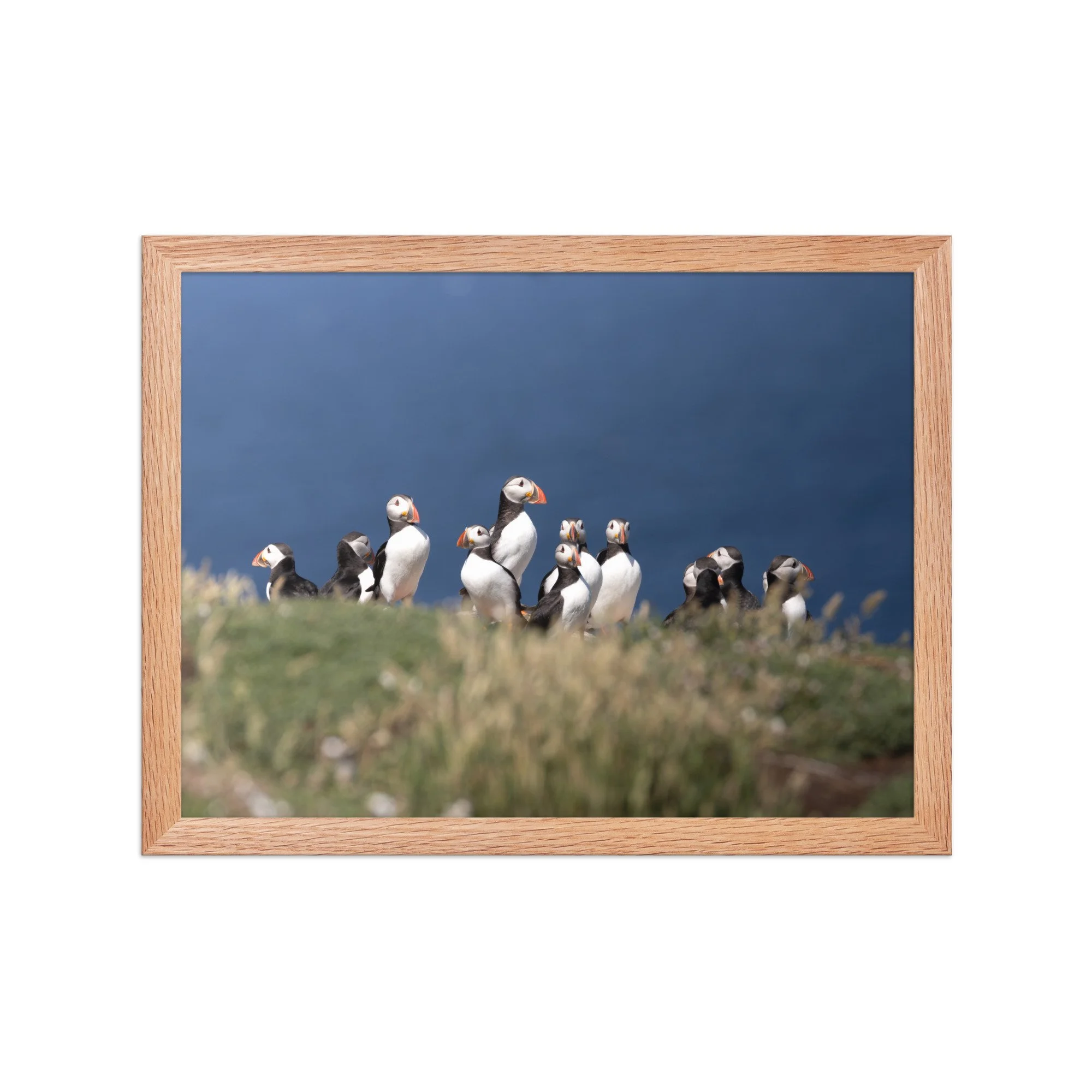 premium-luster-photo-paper-framed-poster-(in)-red-oak-12x16-front-6878bd40aee9f.jpg