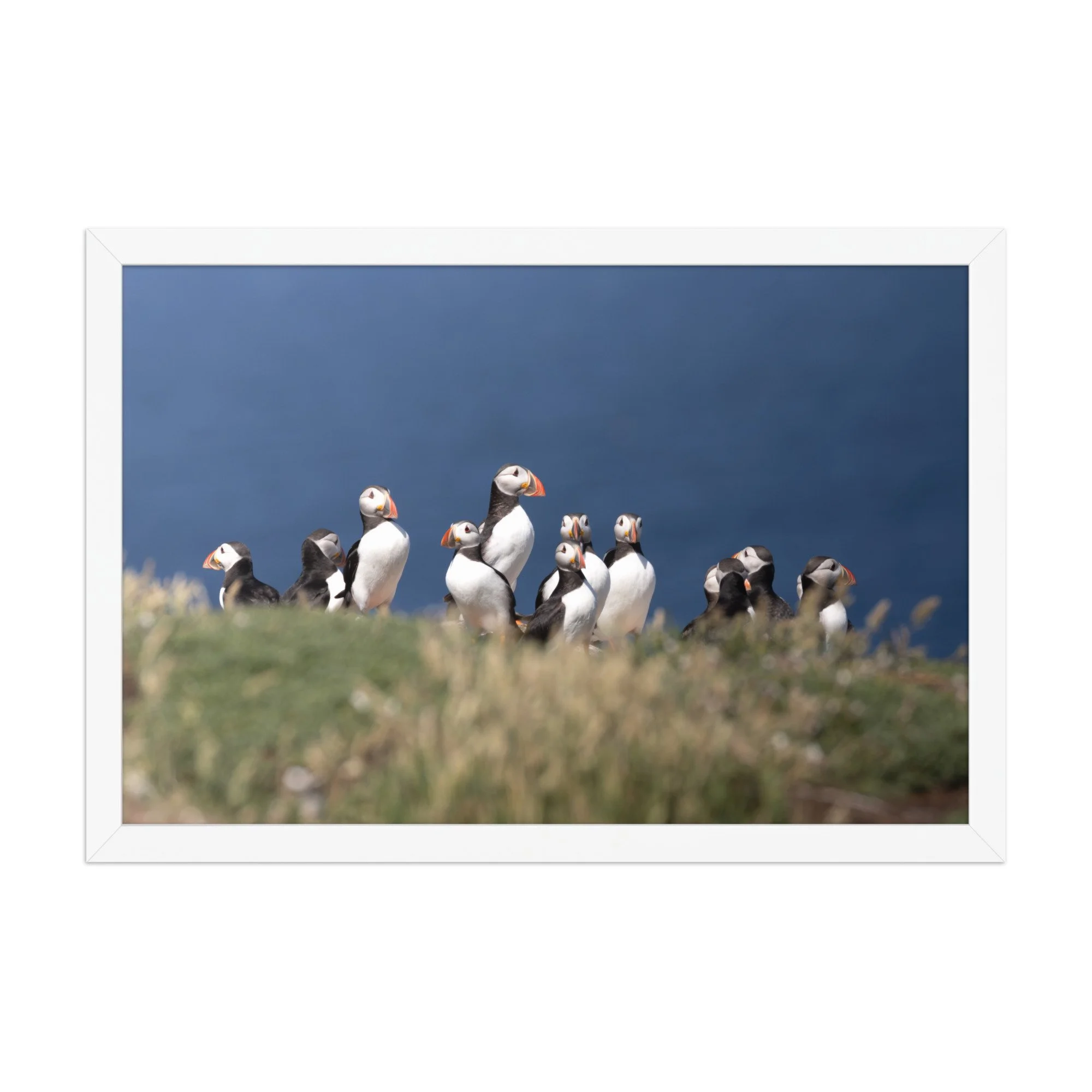 premium-luster-photo-paper-framed-poster-(in)-white-12x18-front-6878bd40af166.jpg