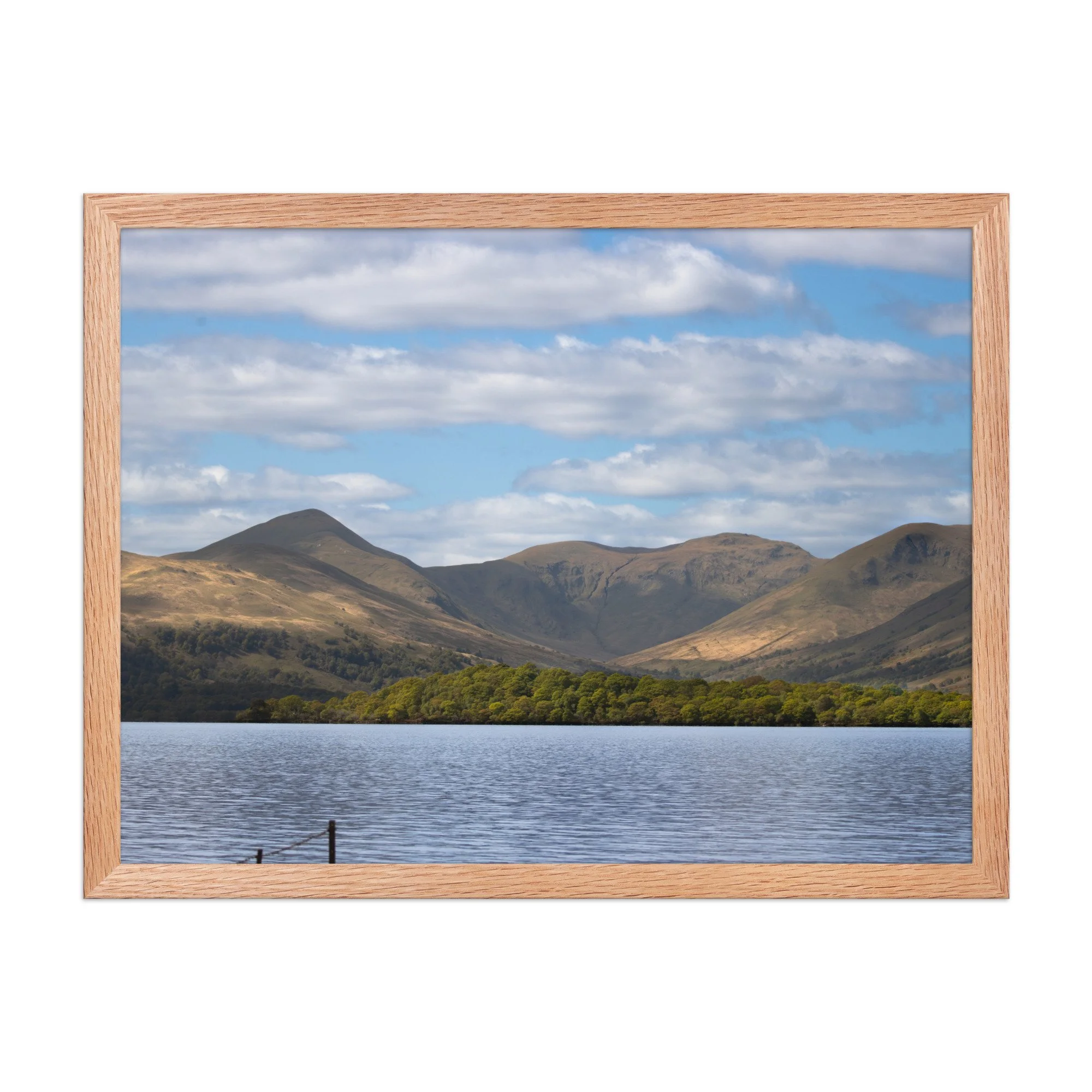 premium-luster-photo-paper-framed-poster-(in)-red-oak-18x24-front-687fd5a316a5d.jpg