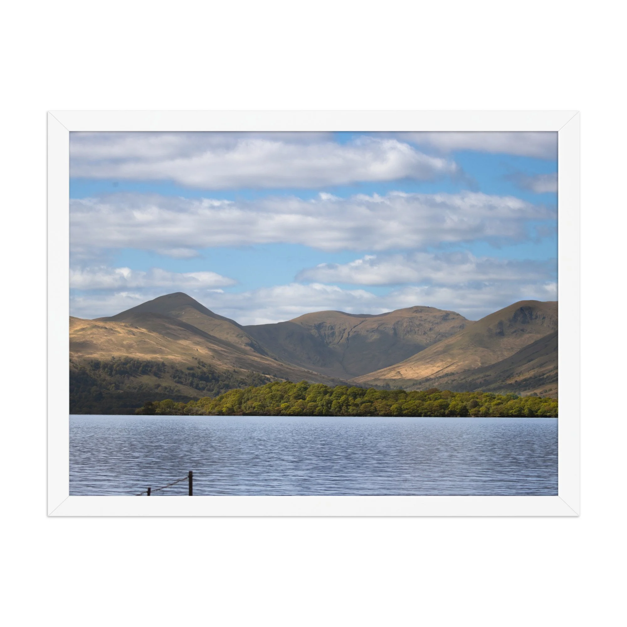 premium-luster-photo-paper-framed-poster-(in)-white-18x24-front-687fd5a316c16.jpg