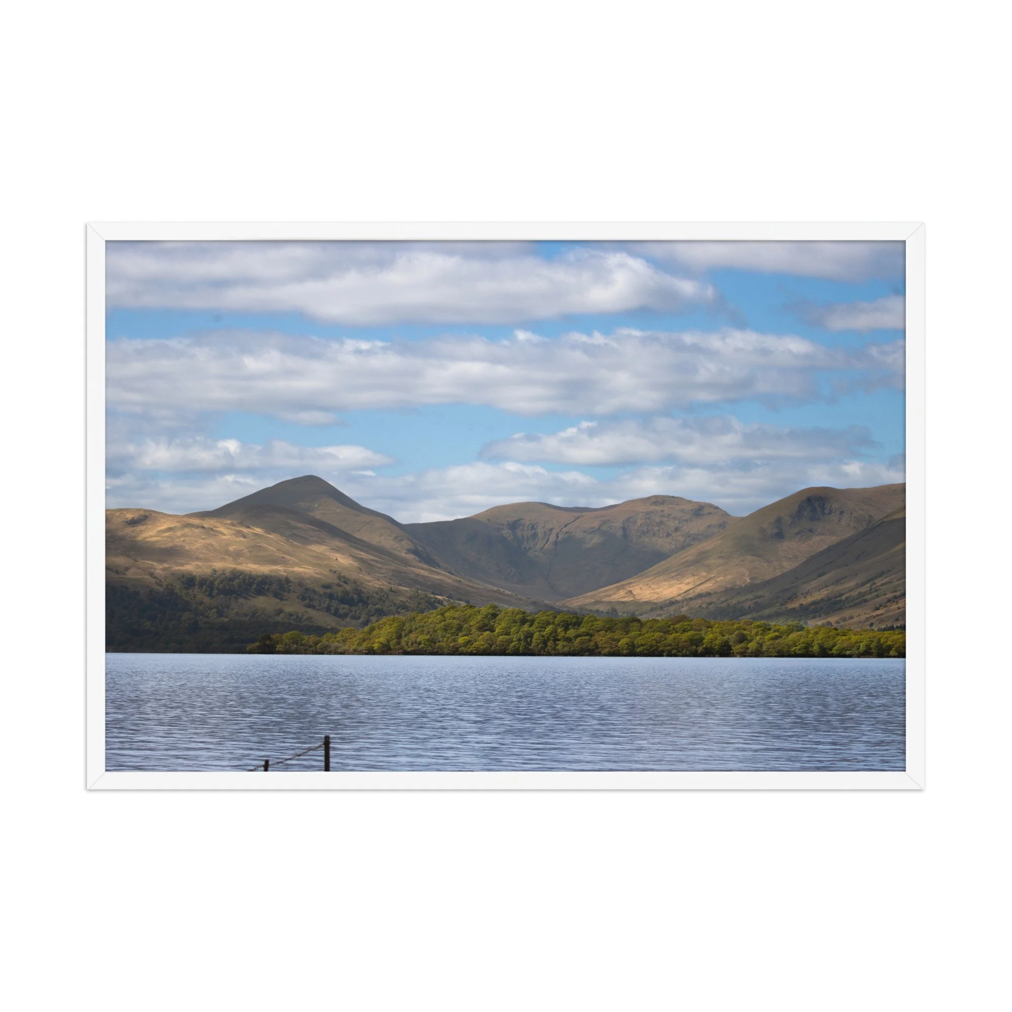 premium-luster-photo-paper-framed-poster-(in)-white-24x36-front-687fd5a316c9c.jpg