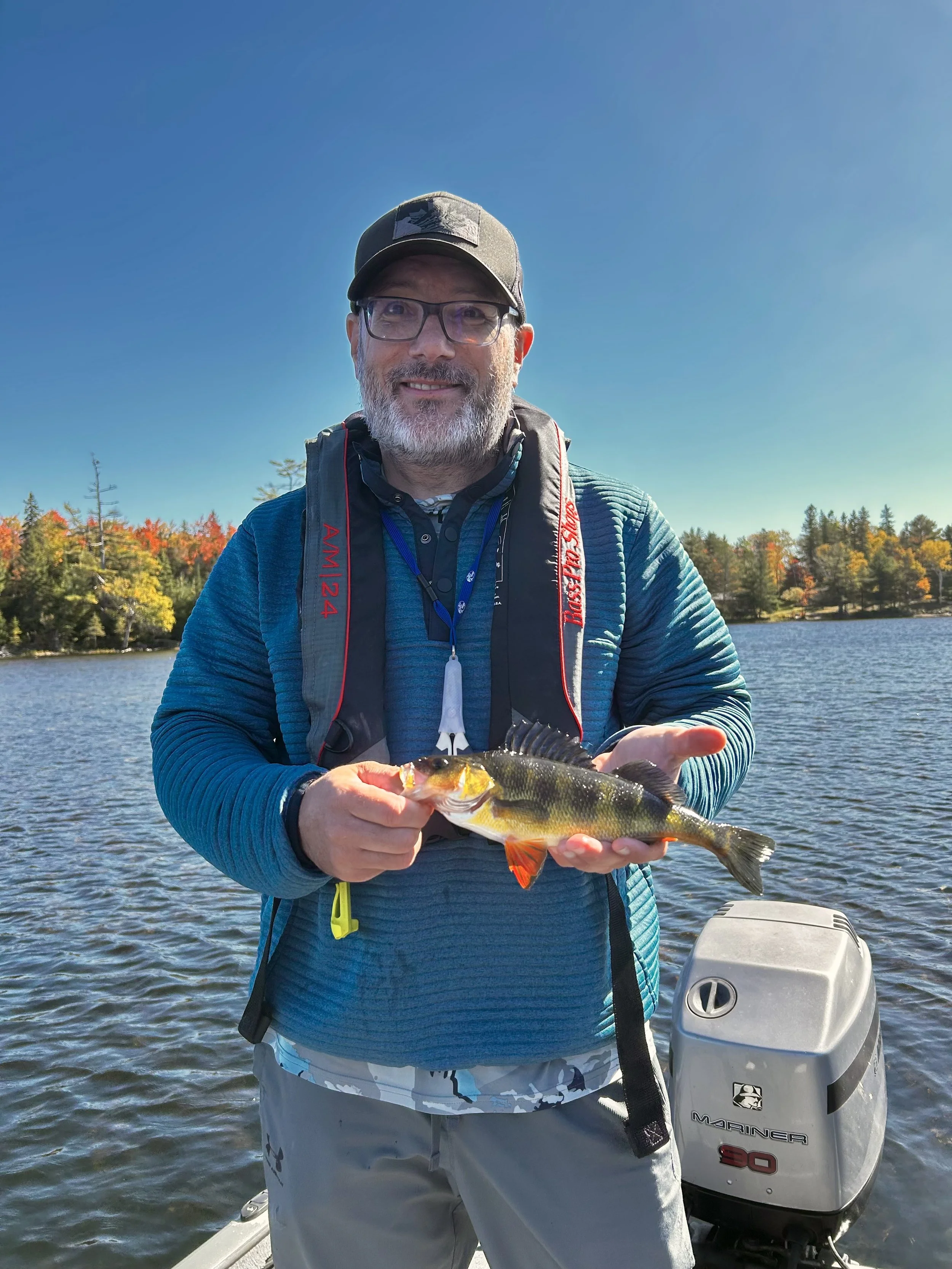 yellow perch.jpeg