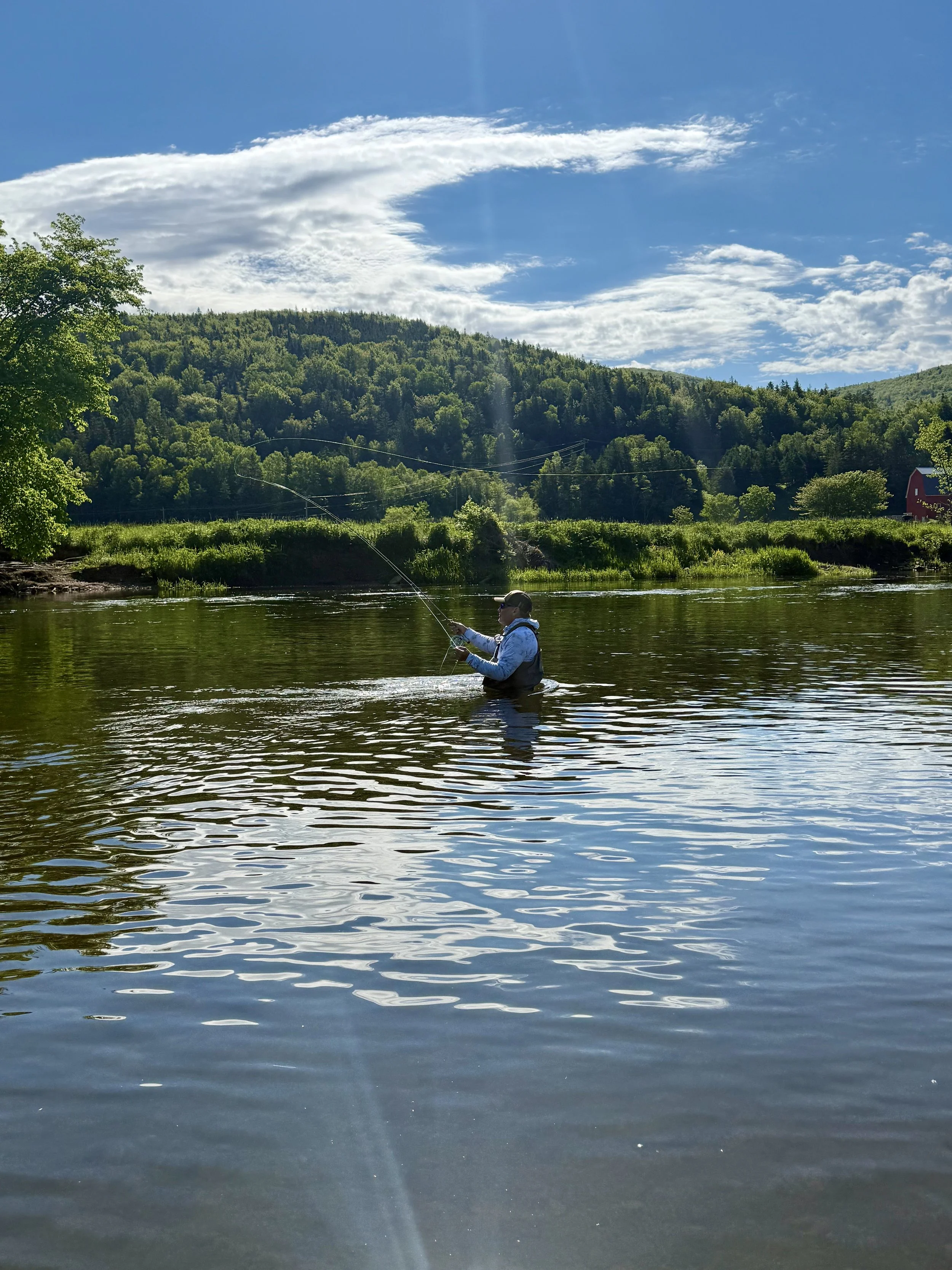 flyfishingcasting.jpg