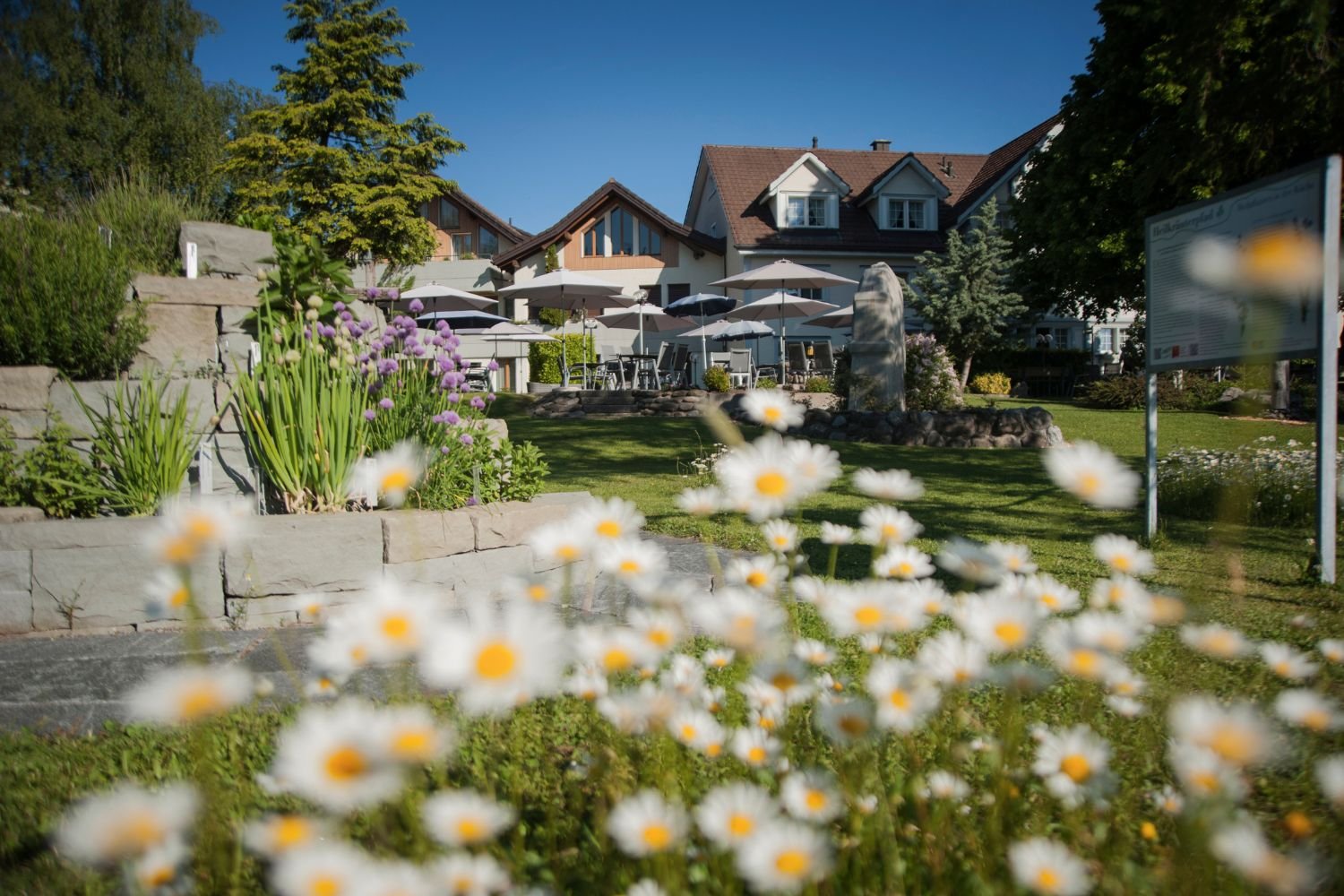 The Slowdown Immersion - Hotel Wolfensberg6.jpg