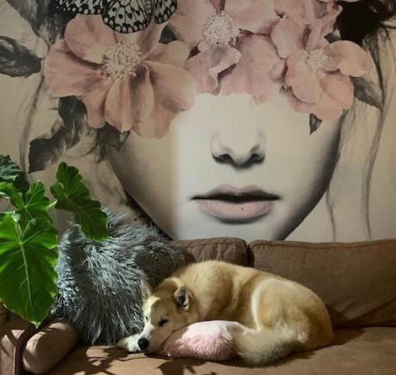 Close-up of a large black and white floral portrait of a woman with pink flowers covering her eyes, hanging on a wall above a brown sofa. A small, light-colored dog is sleeping on the sofa, next to a green leafy plant.