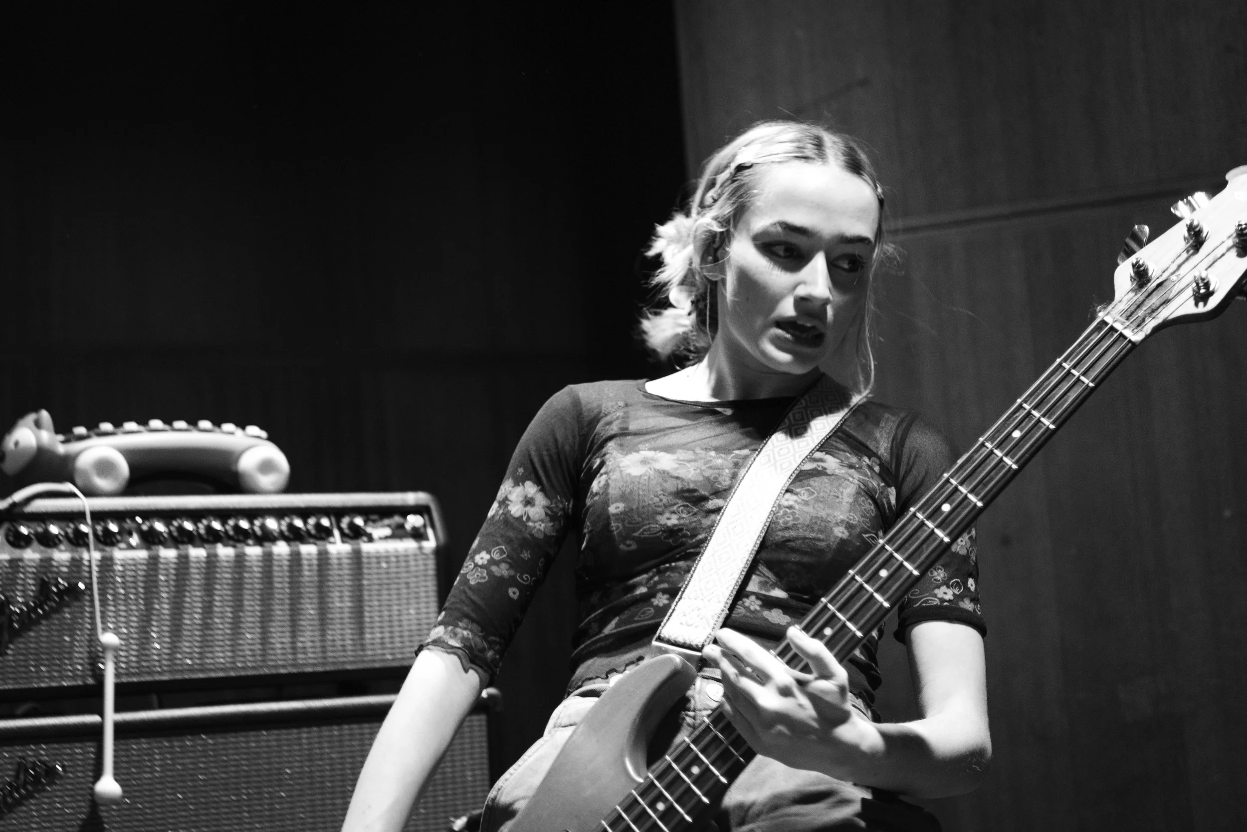 Die Spitz Babe Haven-15.jpg