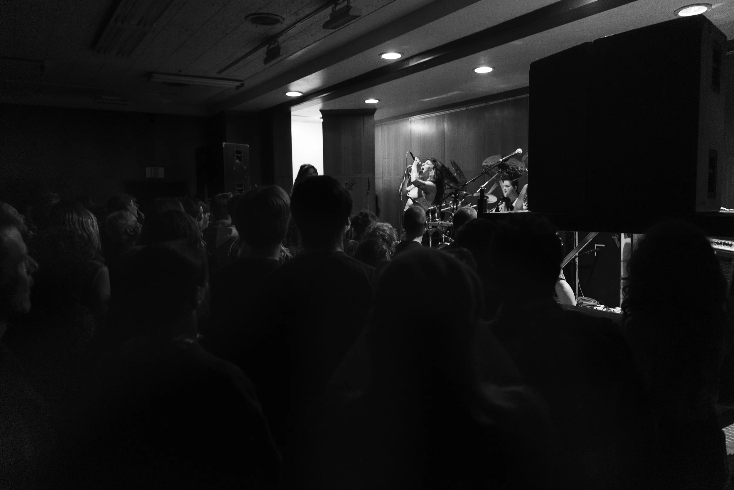 Die Spitz Babe Haven-23.jpg