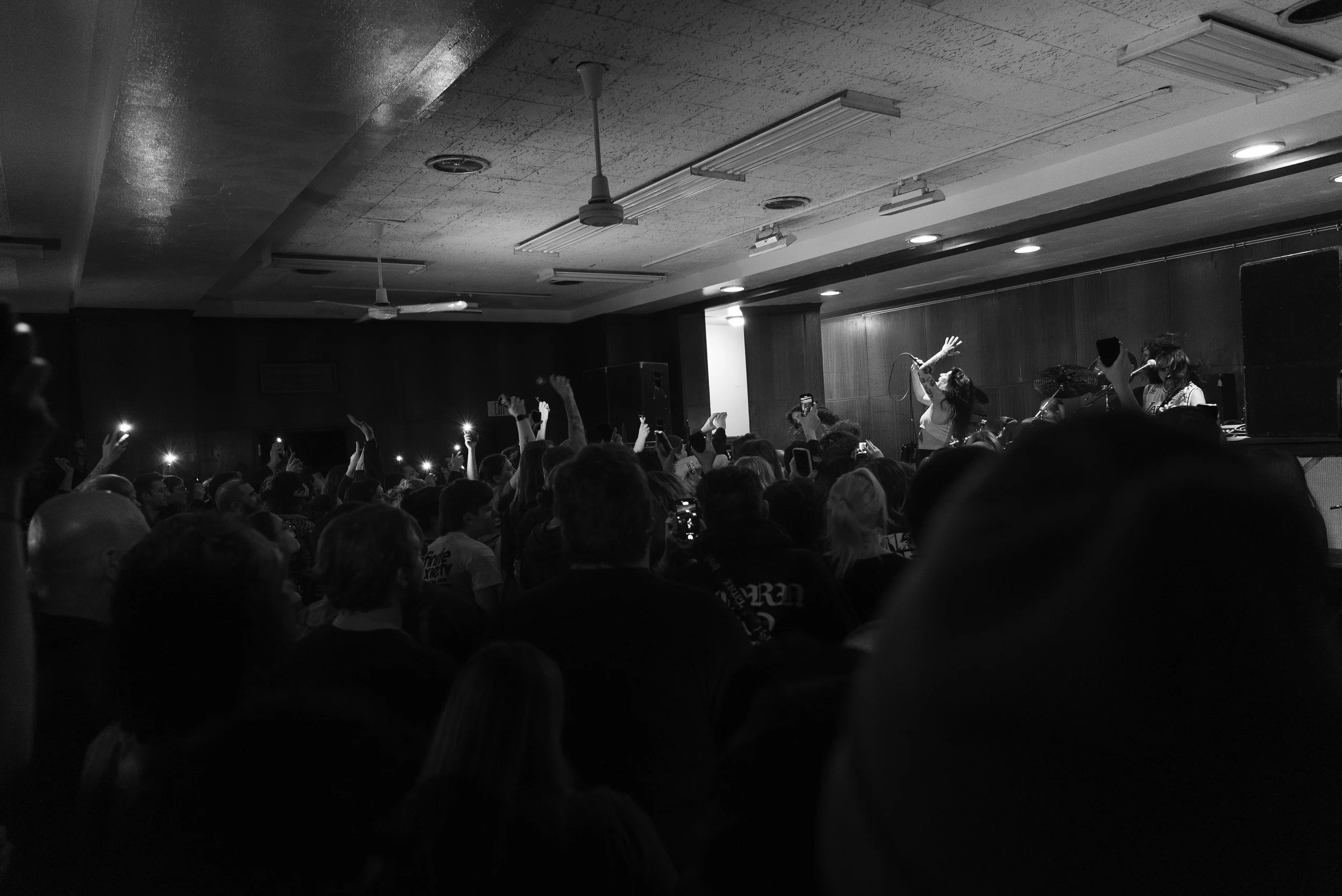 Die Spitz Babe Haven-20.jpg