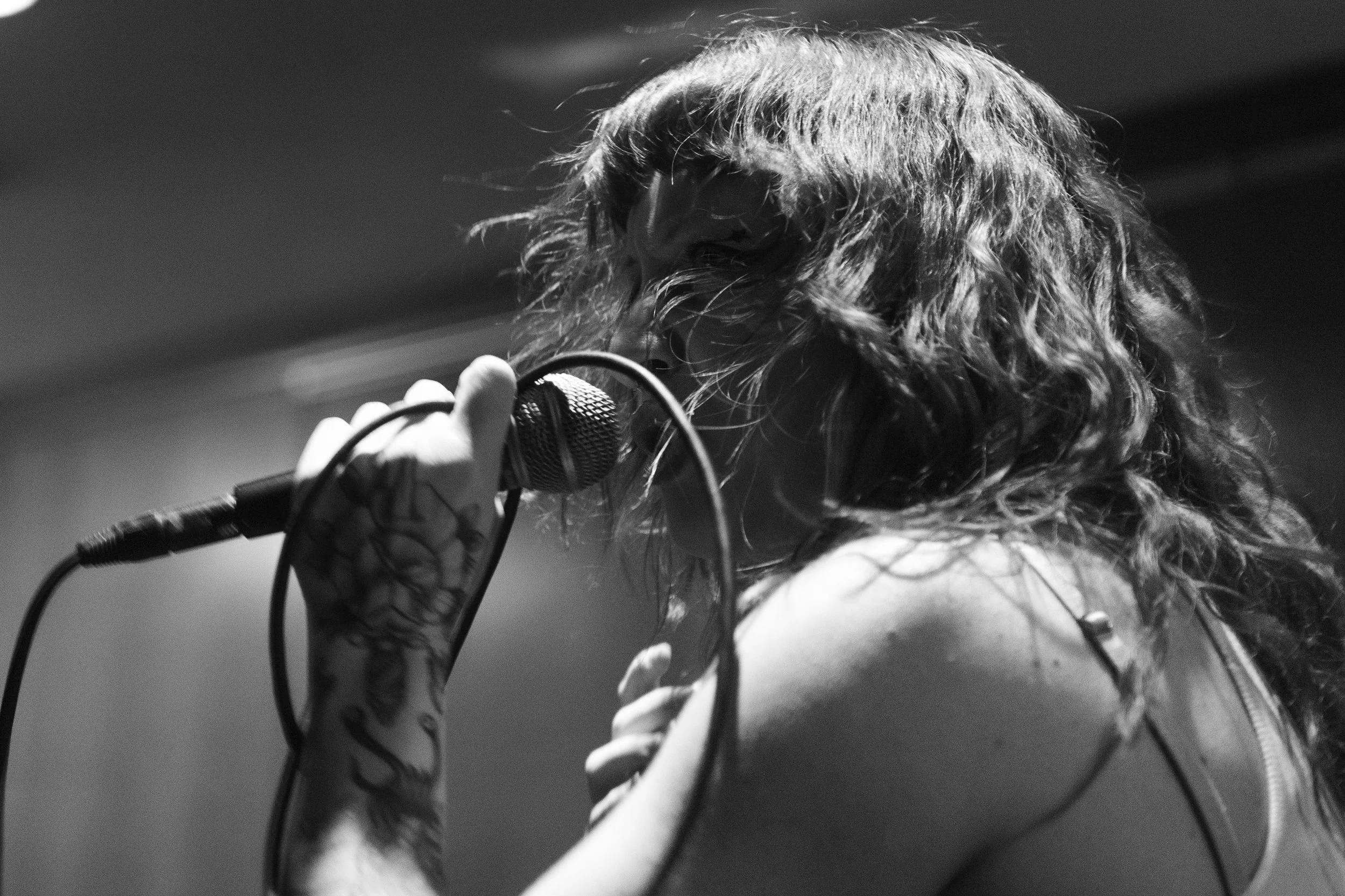 Die Spitz Babe Haven-27.jpg