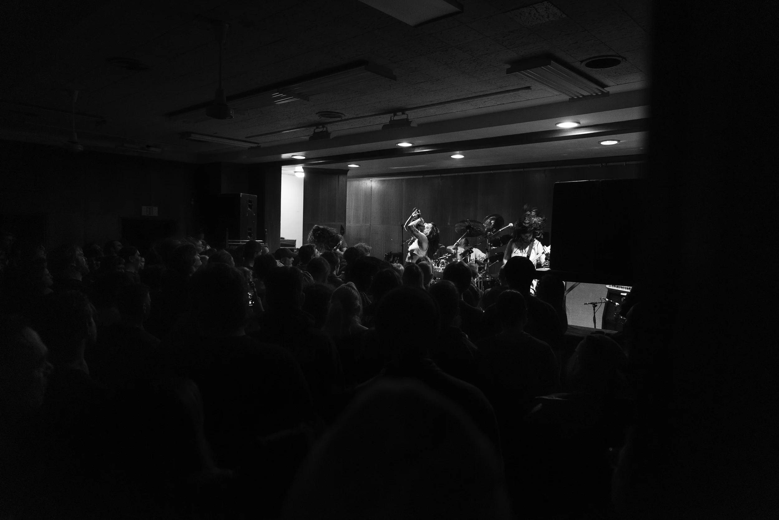 Die Spitz Babe Haven-21.jpg