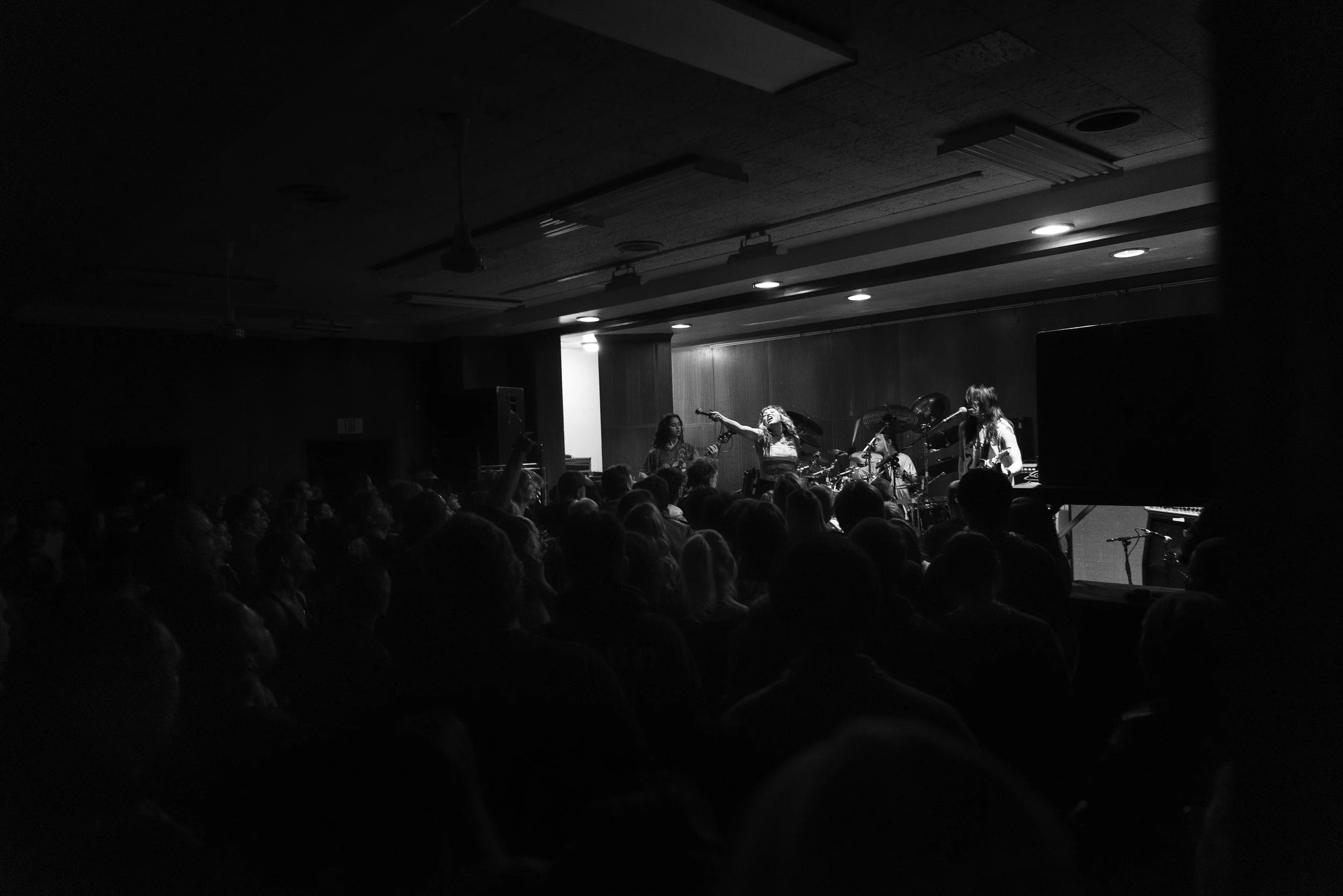 Die Spitz Babe Haven-22.jpg