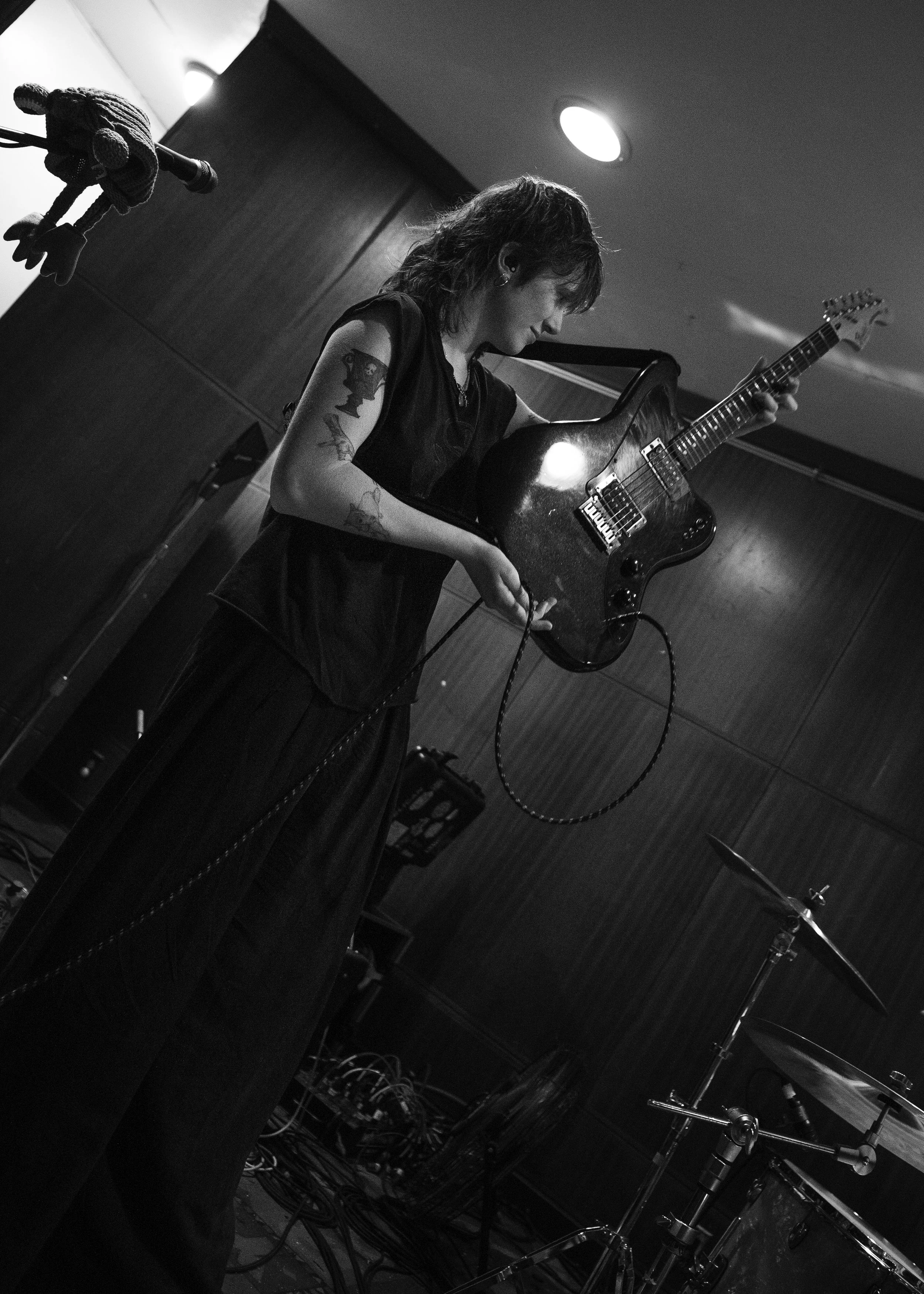 Die Spitz Babe Haven-03.jpg