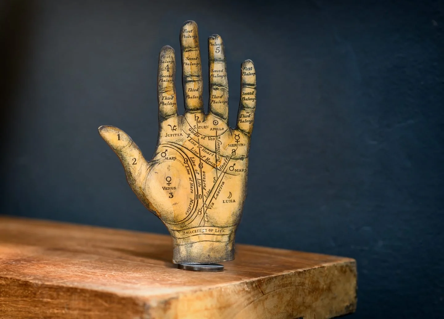 🌟 Astrology Meet-Up at Elevate Social Lounge & Kava Bar