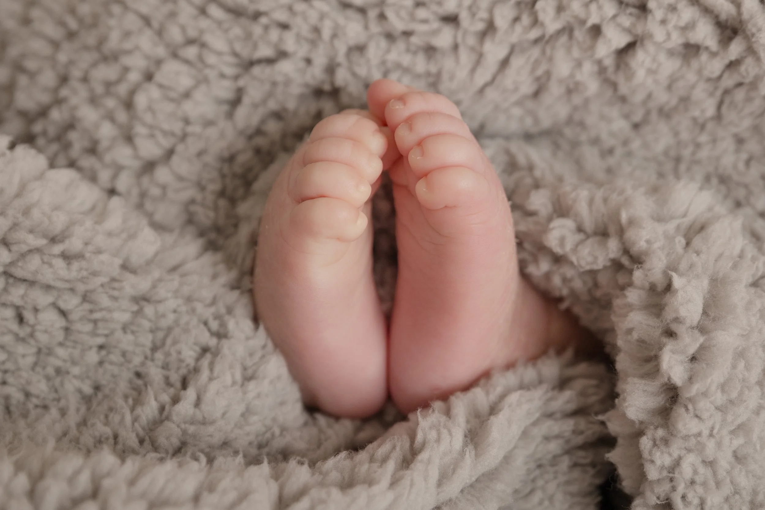 2026-04-16_Newborn-5.jpg