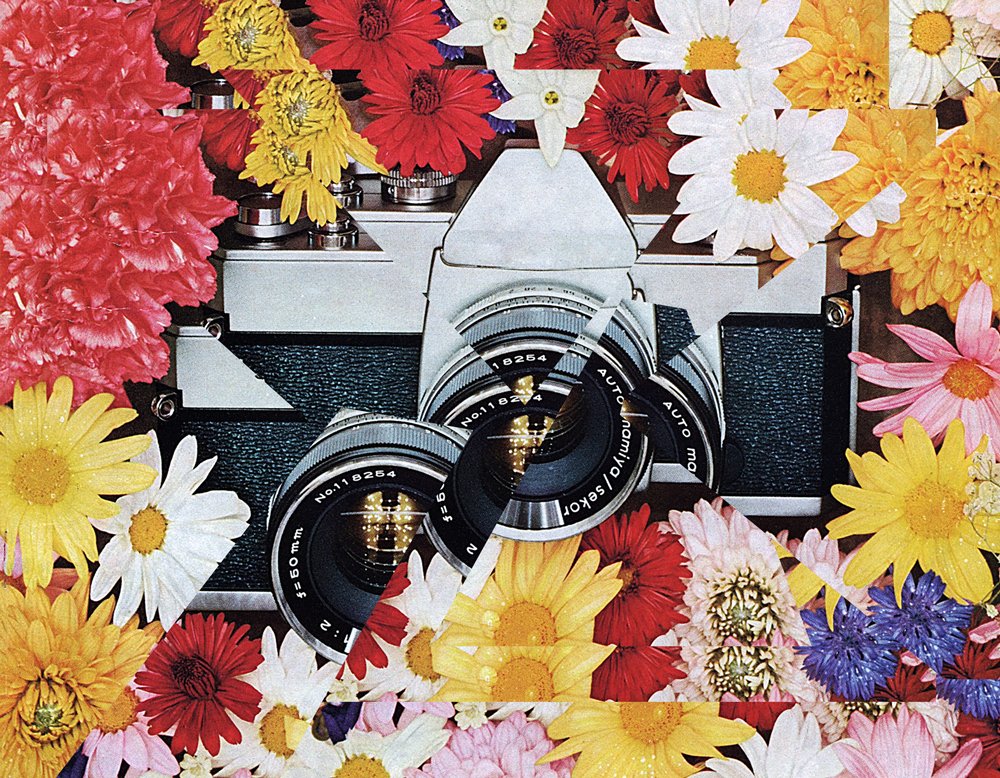 Kolaj Magazine - Camera &amp; Collage