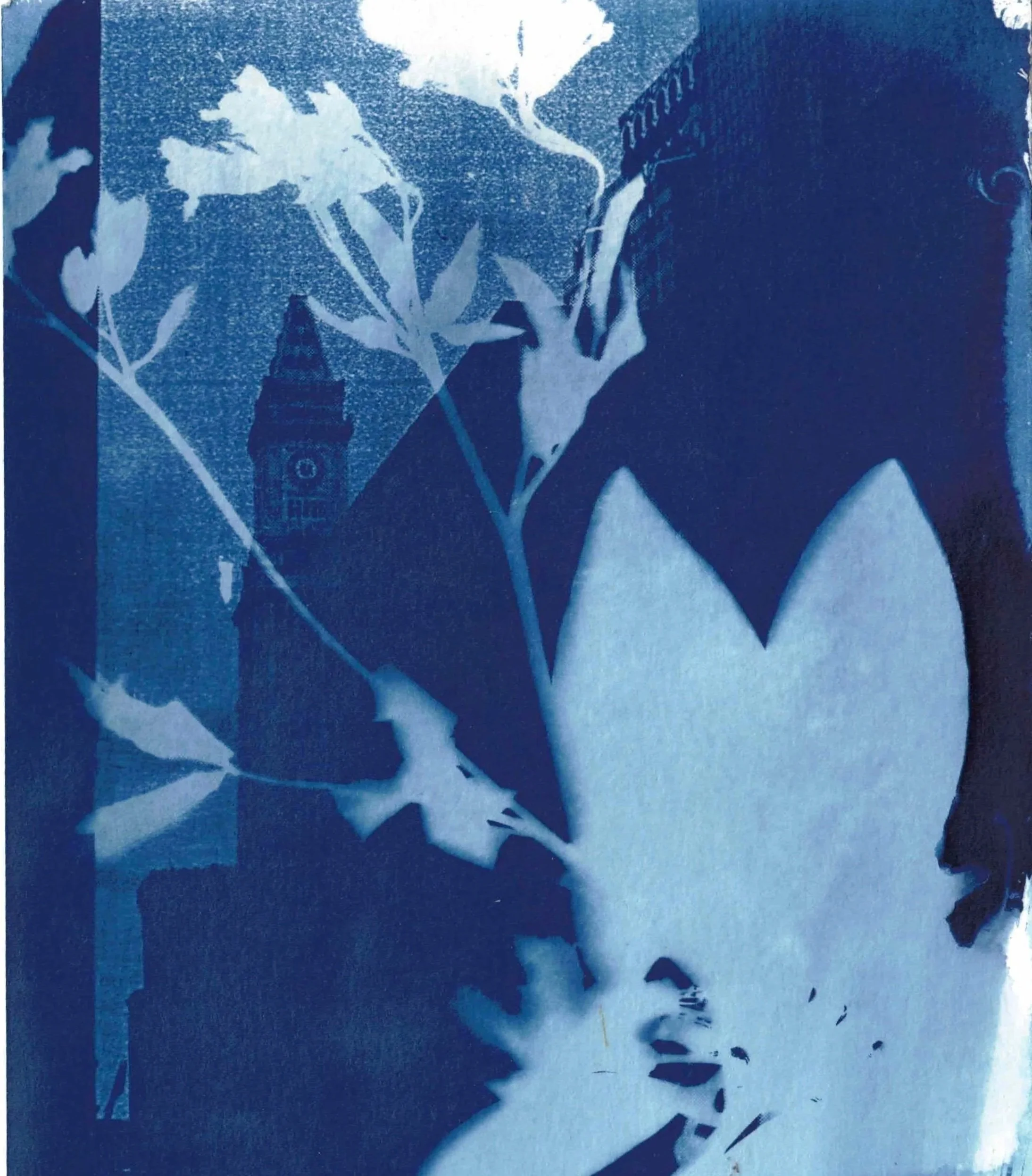 sunprintsinthegardencyanotype.jpg
