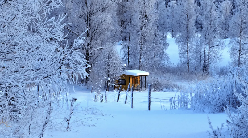 Finnish Saunas: Tradition, Survival, and Connection