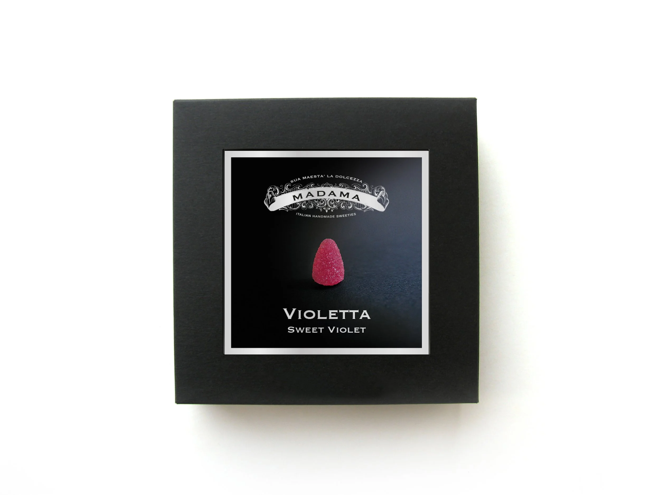 ViolettaFronte.jpg