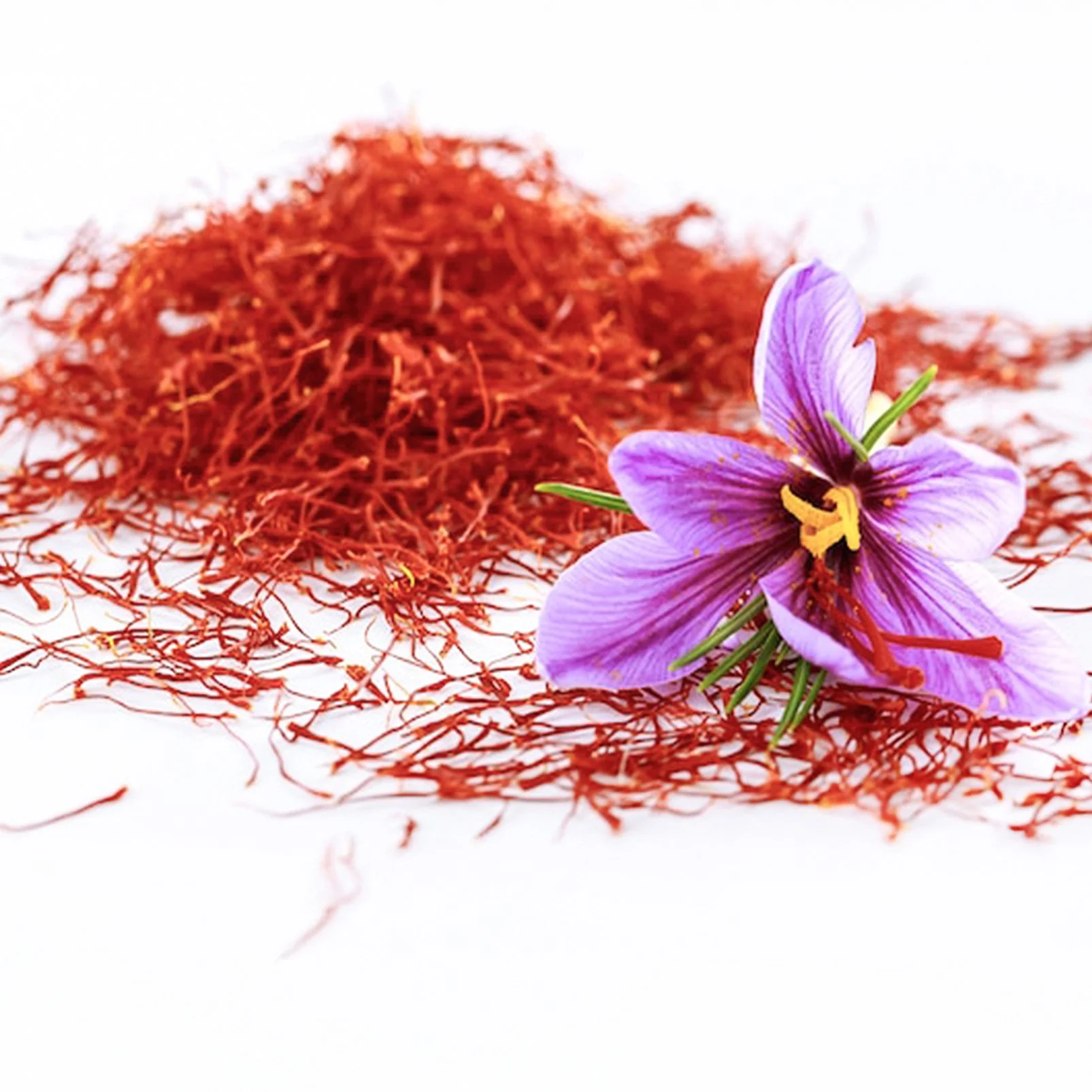 Zafferano fondo bianco QDT 2.jpg