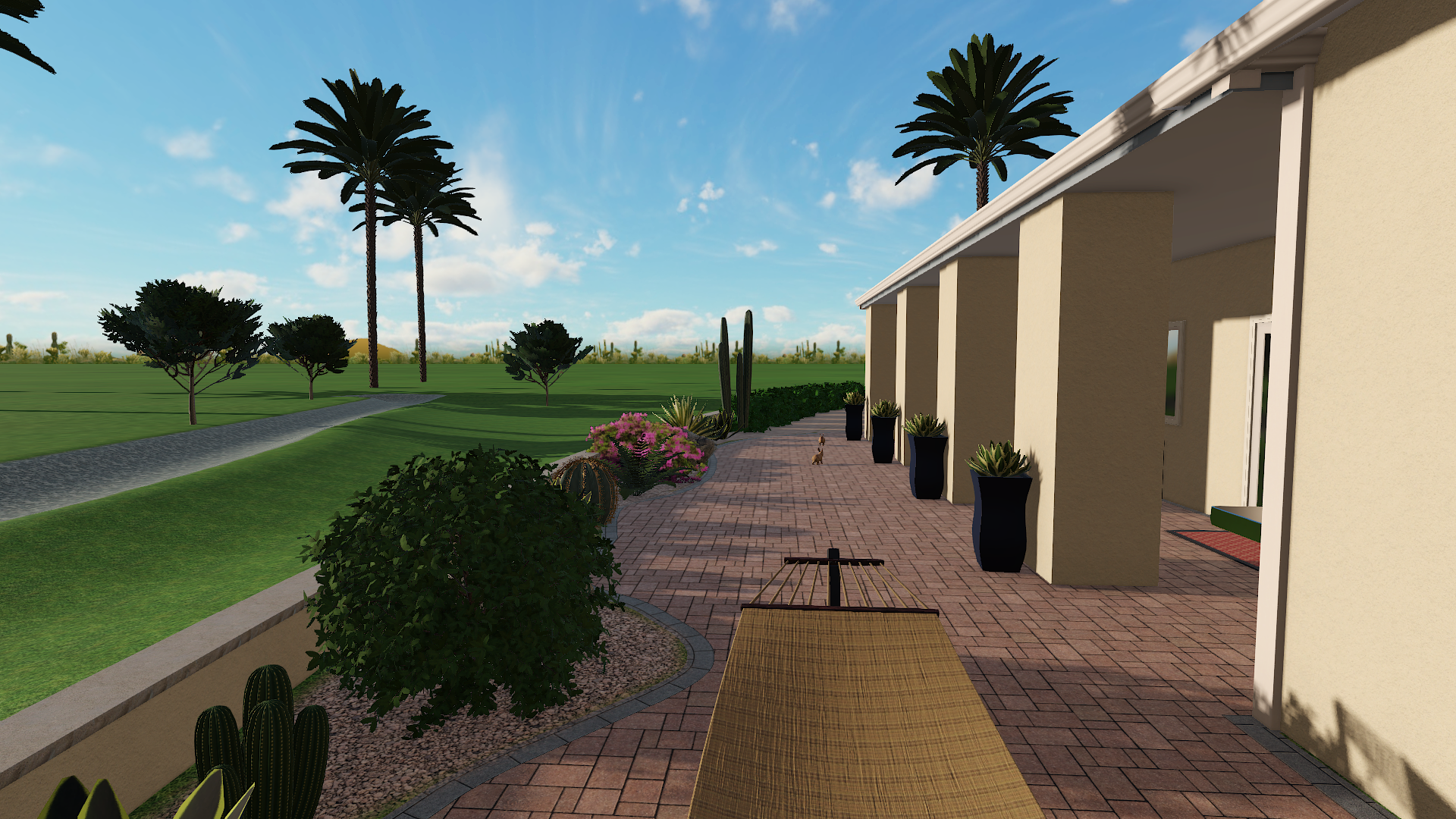 A backyard patio with potted plants, cacti, and flowering bushes, overlooking a grassy area with tall palm trees and a blue sky with clouds.