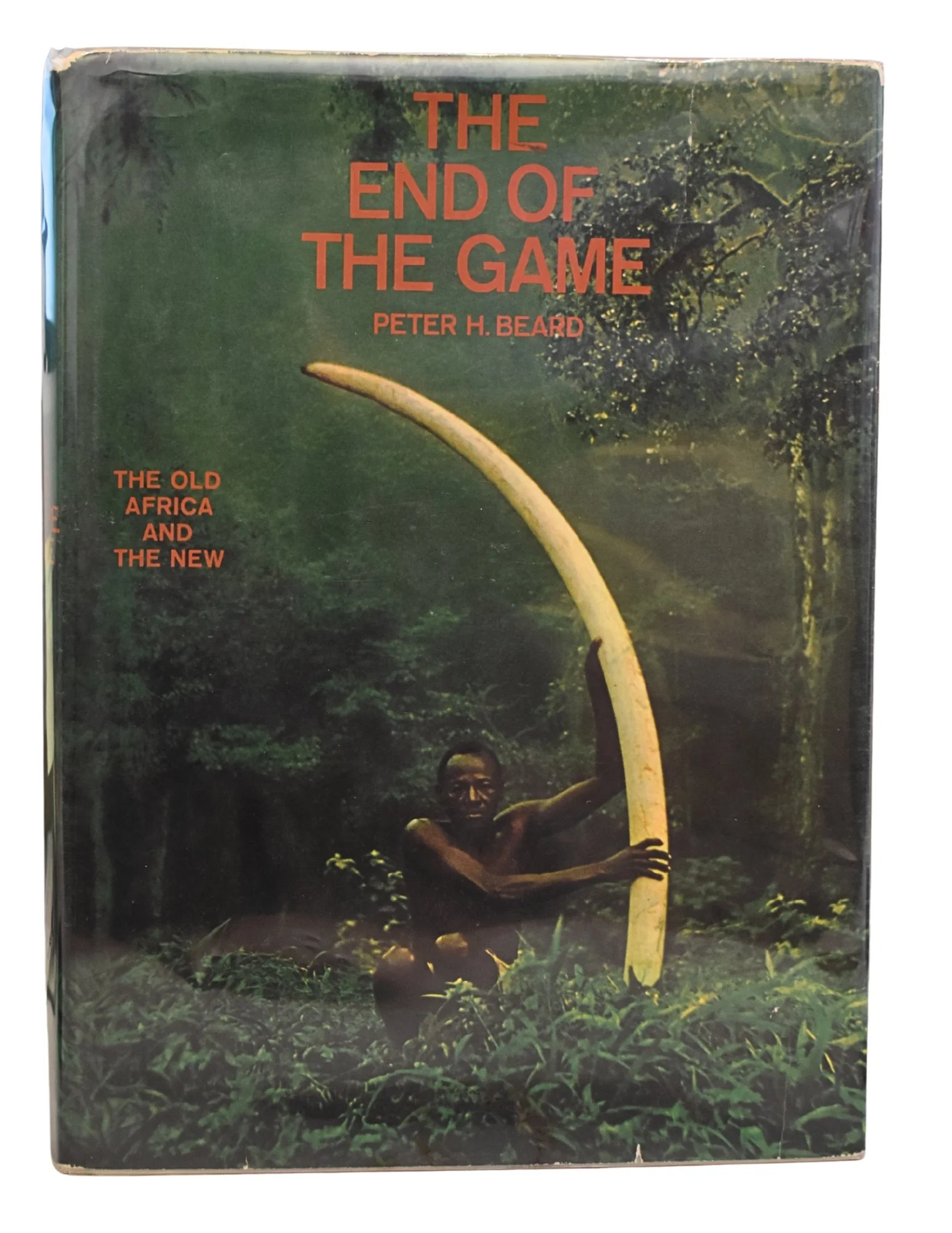 Beard.book3.jpg