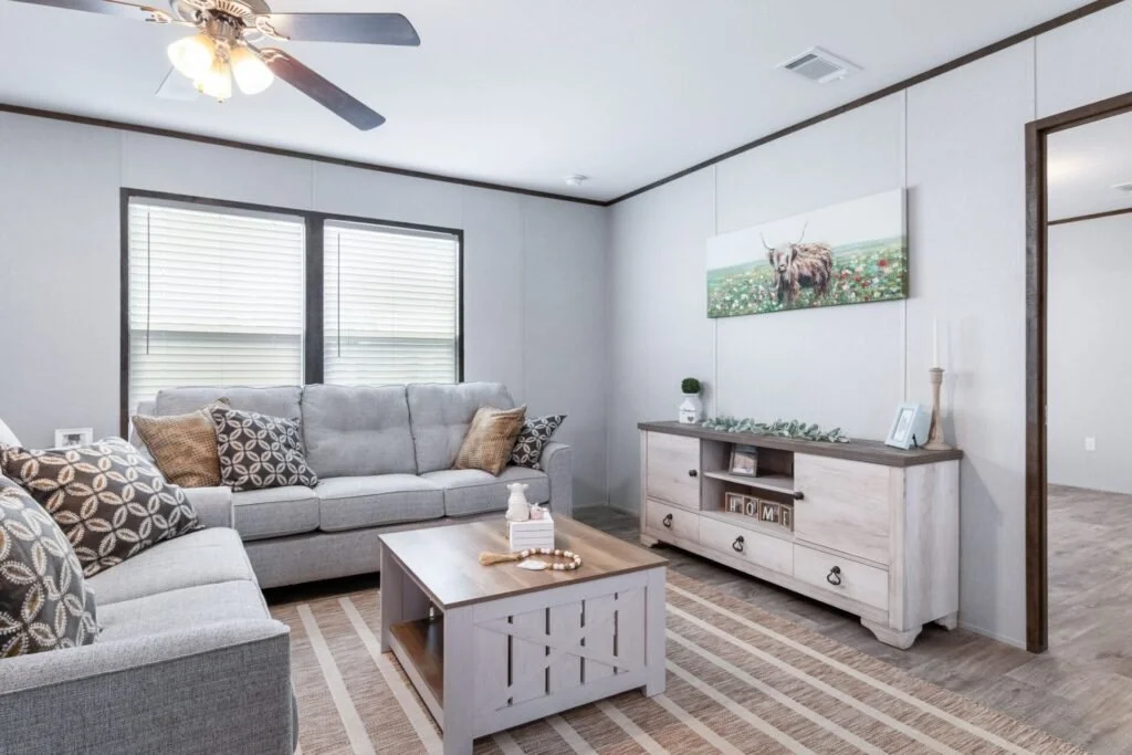 A living room with two light gray sofas adorned with patterned and solid throw pillows. A white wooden coffee table with a tissue box and decorative items sits in front of the sofas on a striped area rug. There's a white wooden sideboard against the 