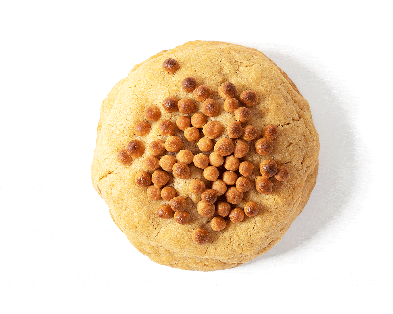 FlourAndBranch-Photos-Cookie-1@2x.gif