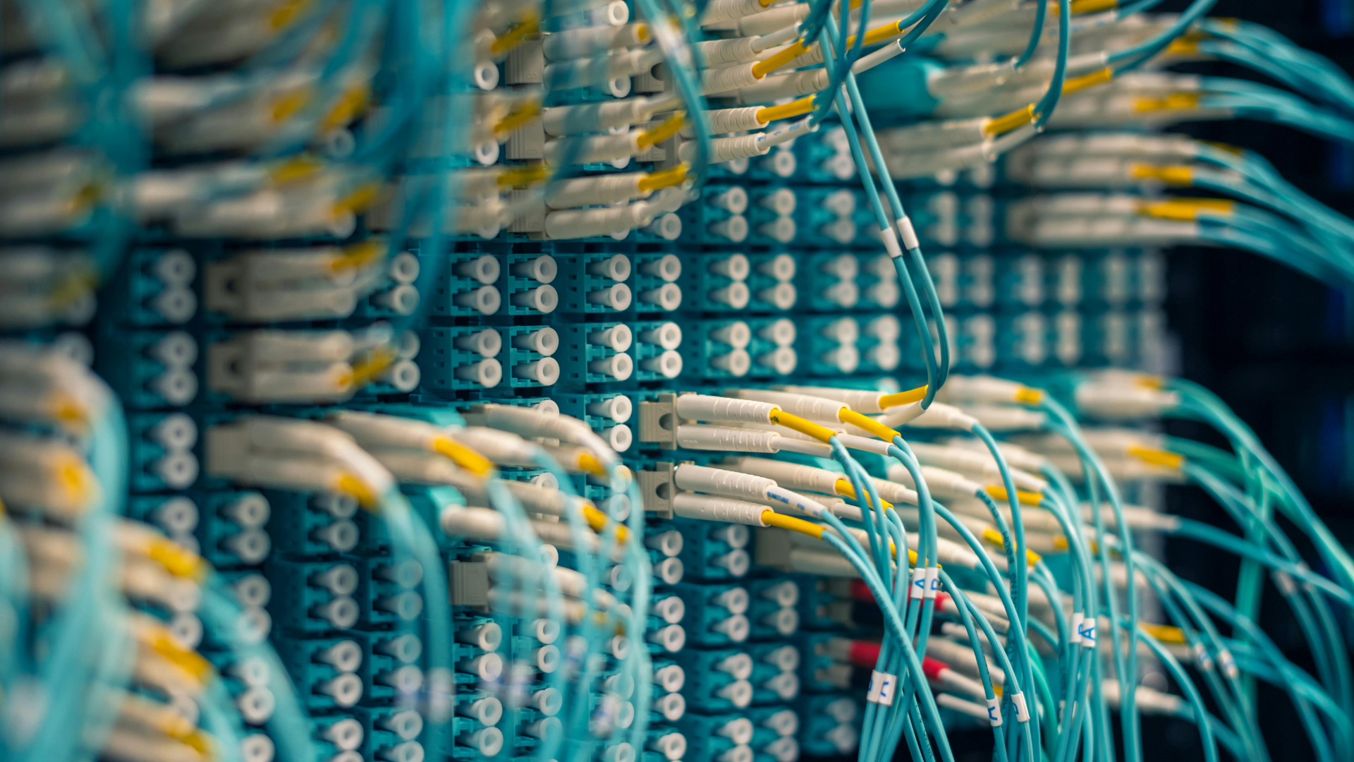 A close-up view of network server or data center equipment with multiple blue cables connected to port panels.