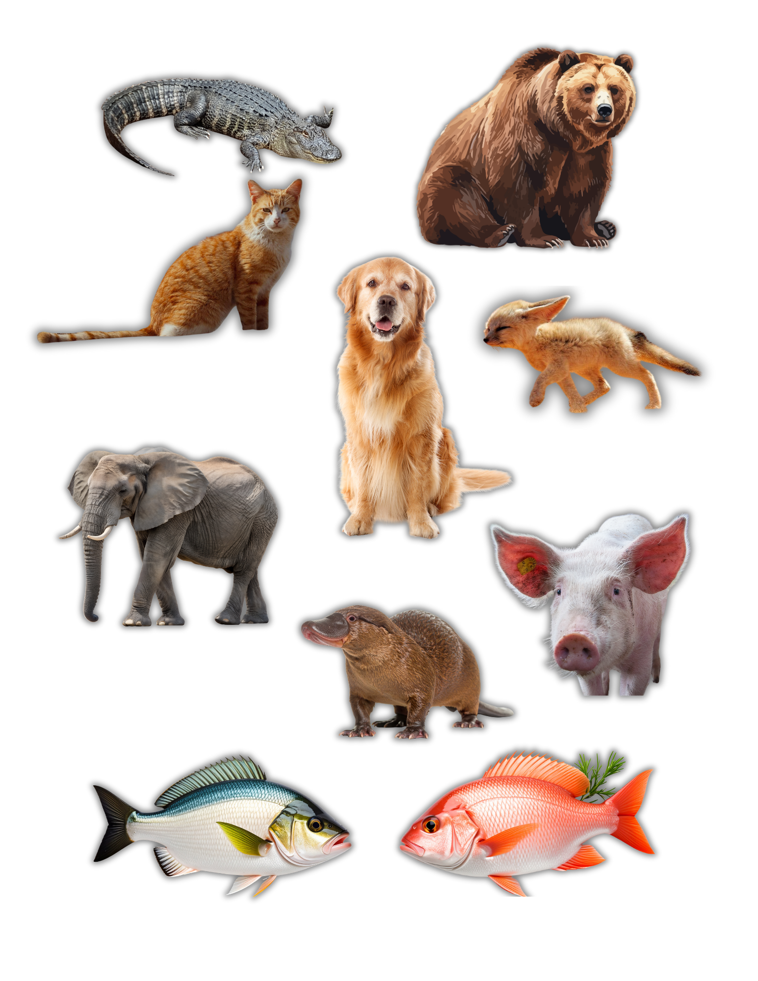 Sticker Pack- Animals Alphabet