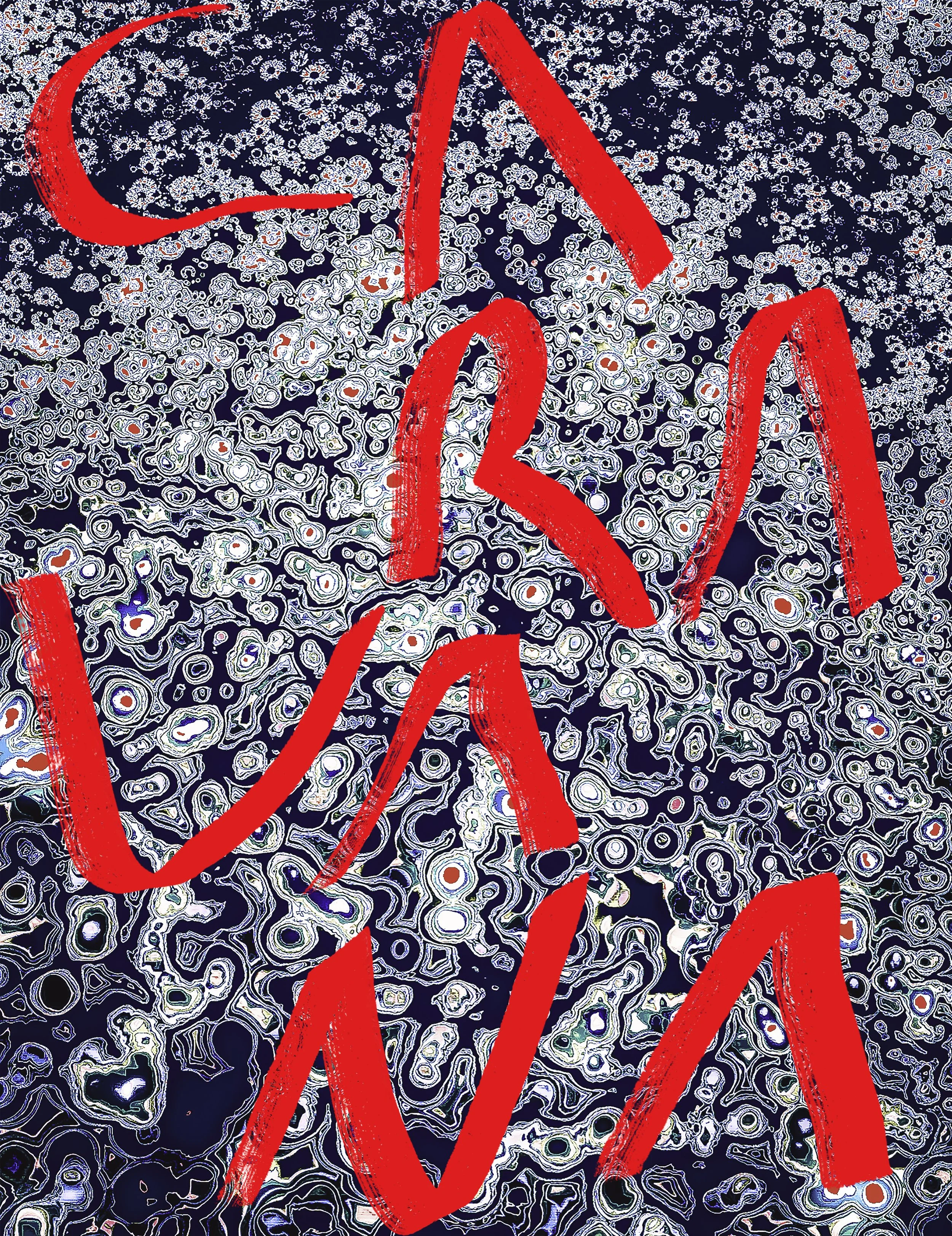 misplaced - caravana - douglas - paris 2026.jpg